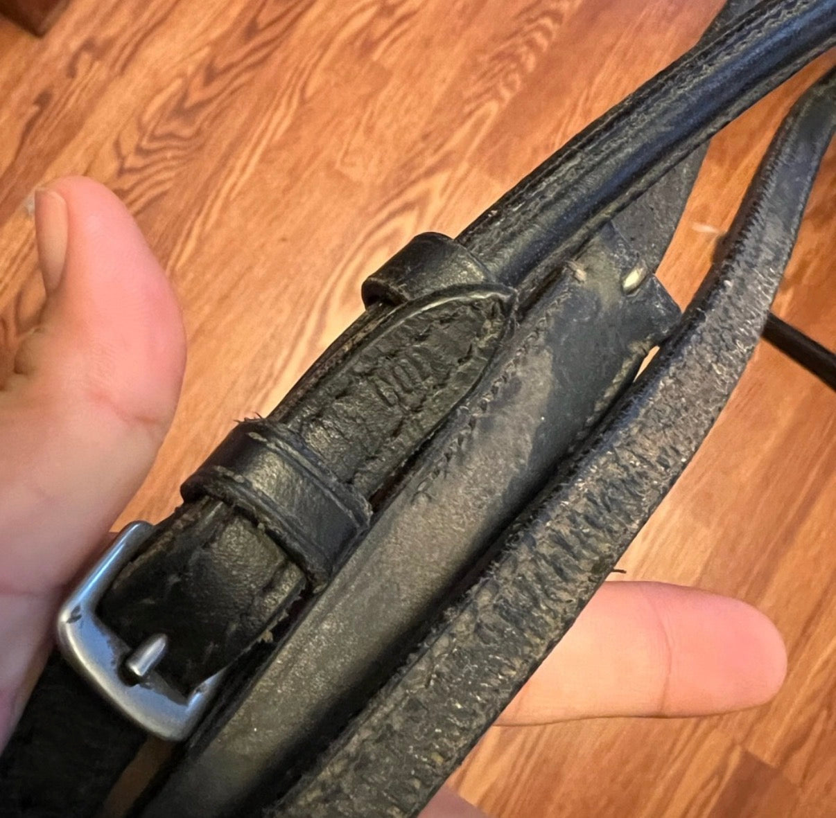 Black cob standing martingale