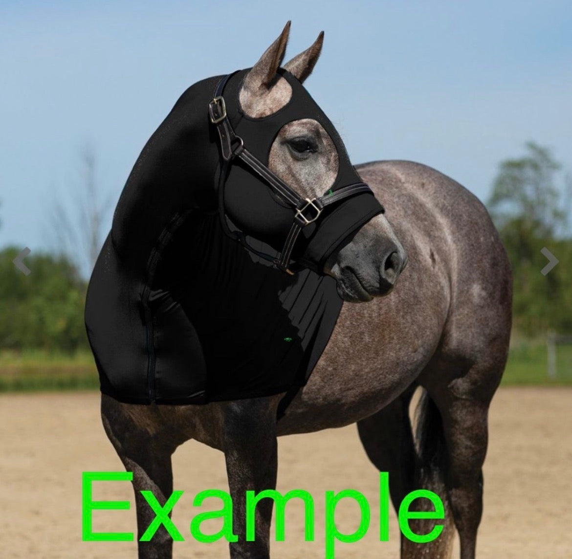 Used Intec lycra hood Horse