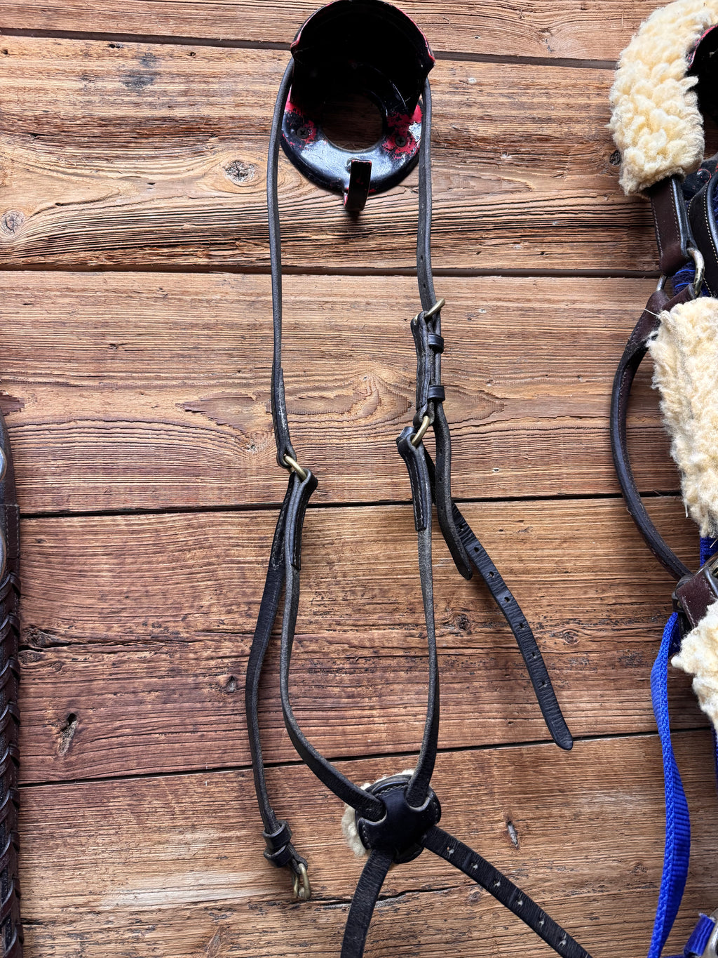 Black horse figure 8 noseband