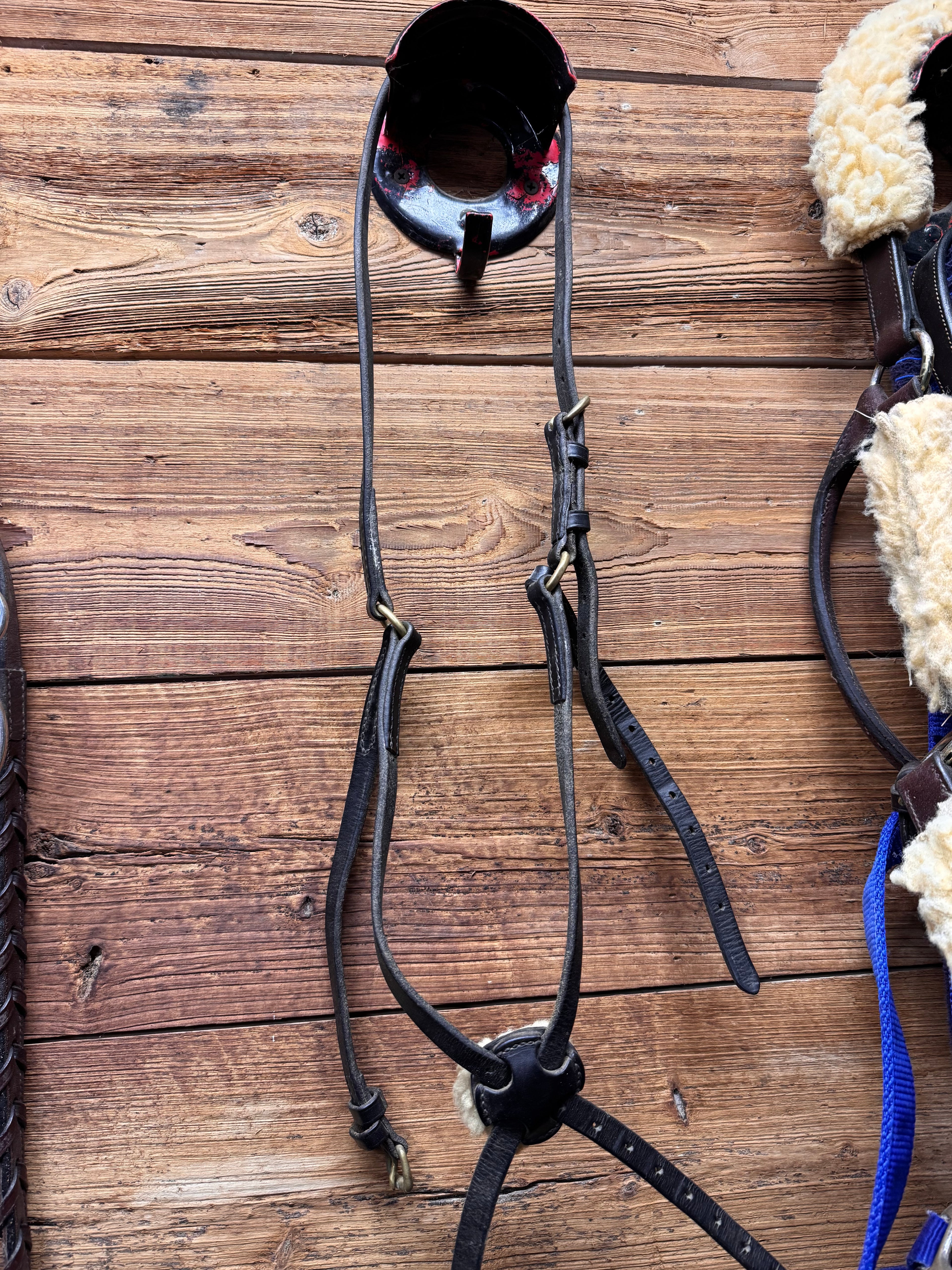 Black horse figure 8 noseband