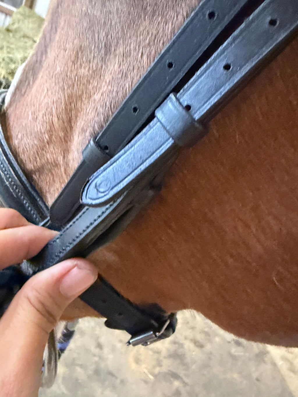 Plymouth Black bridle - Cob