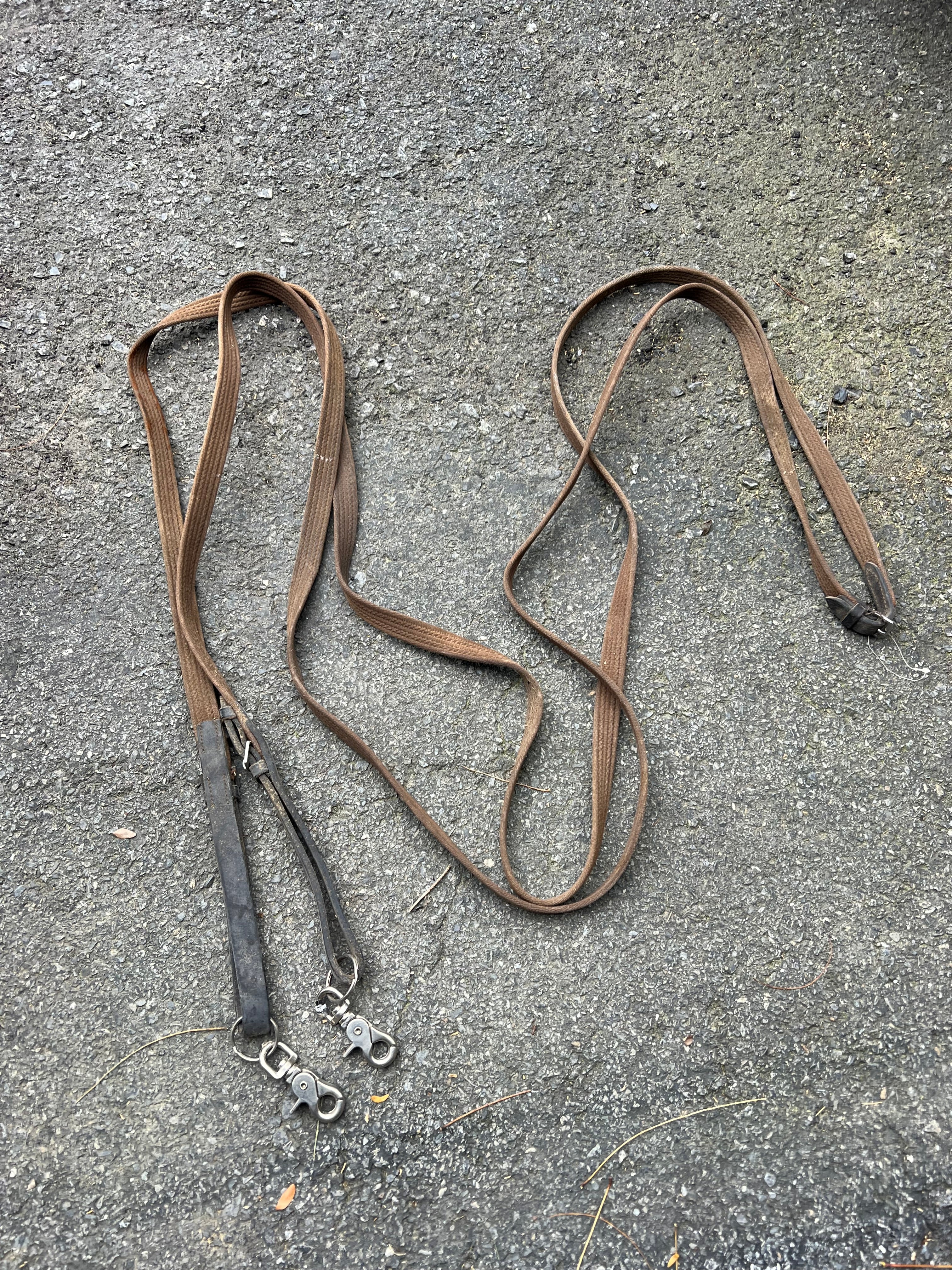 Draw reins used webbed