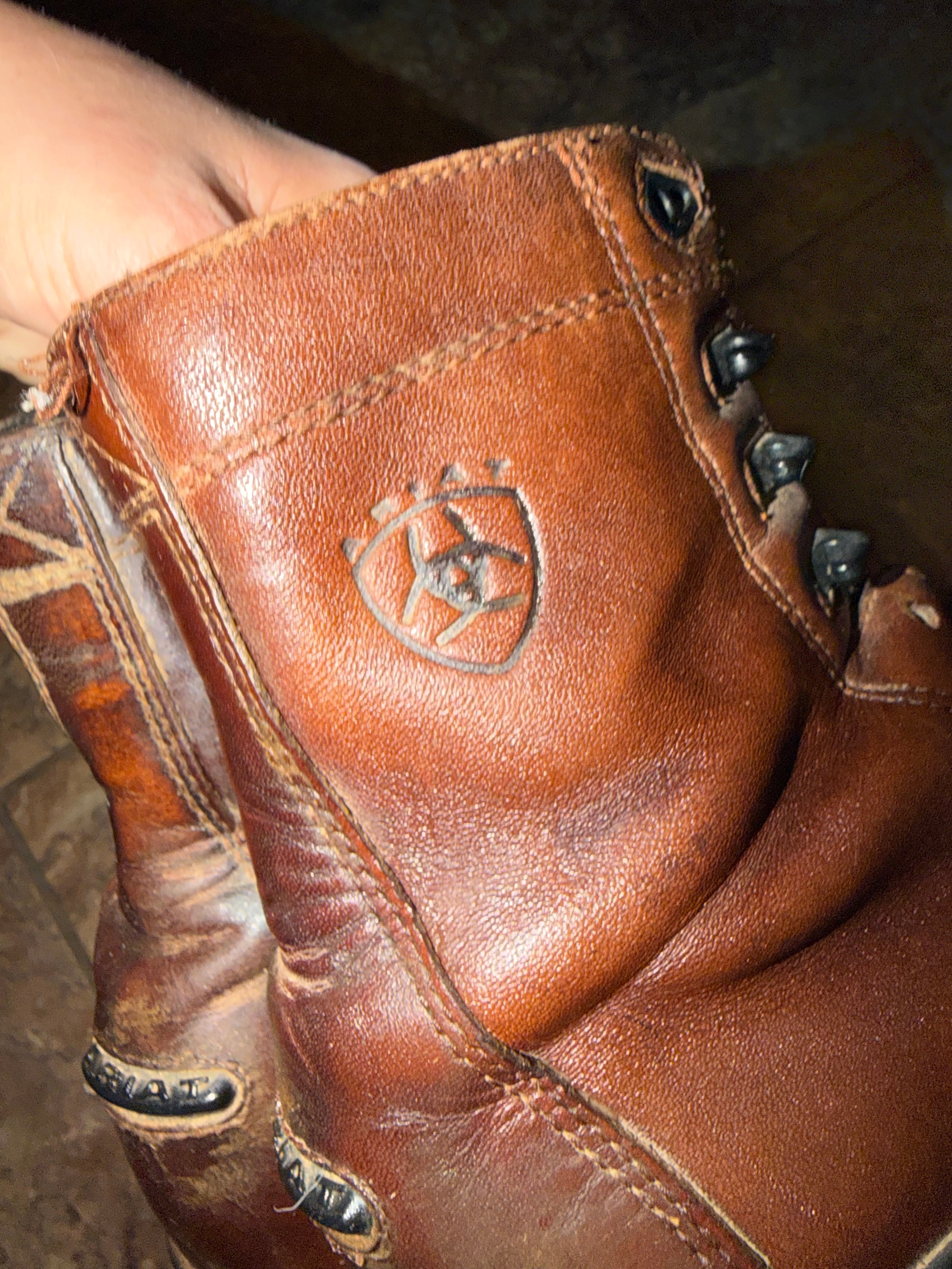 Ariat paddock boots 7.5 women