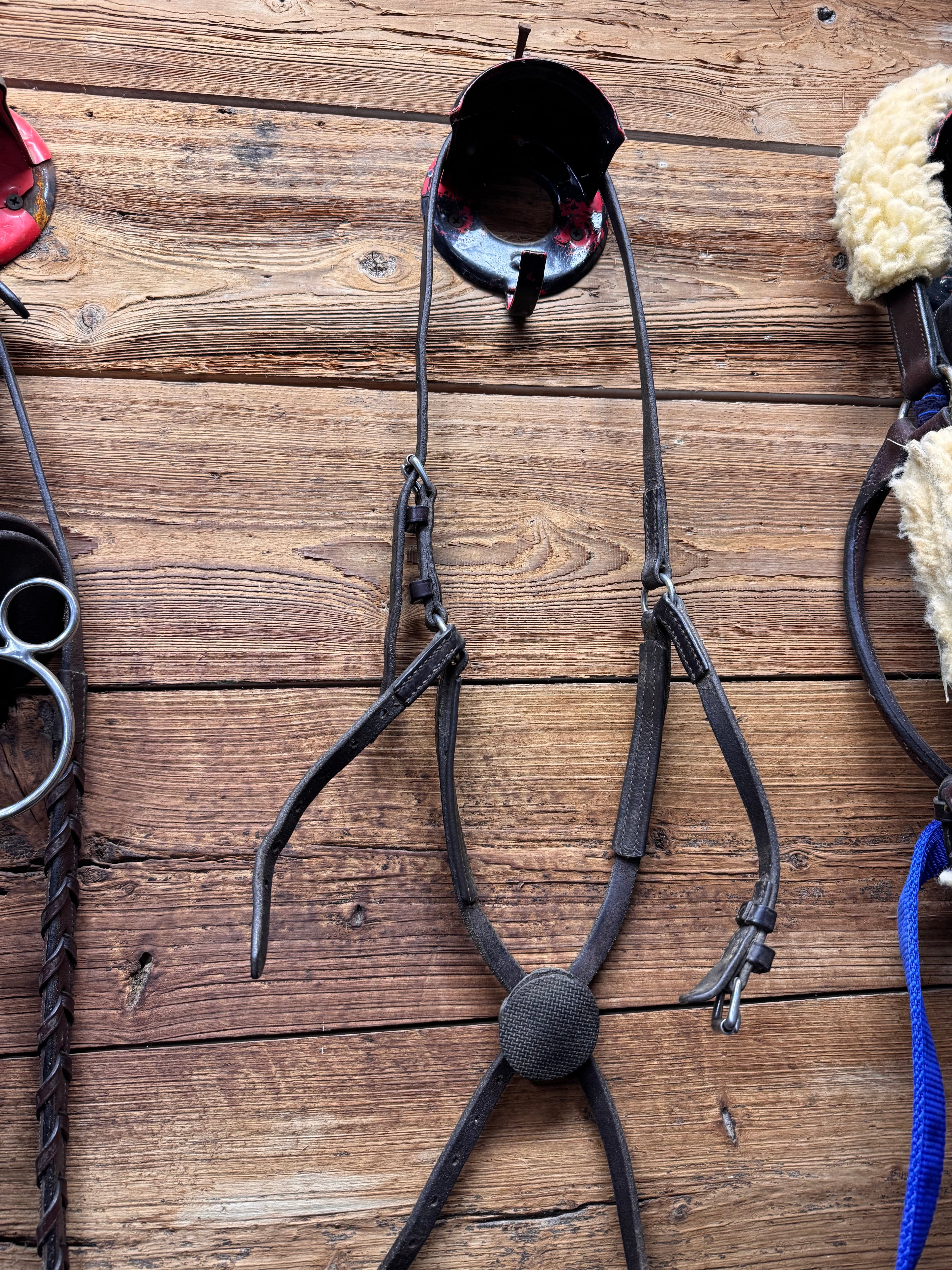 Brown Cob figure 8 noseband