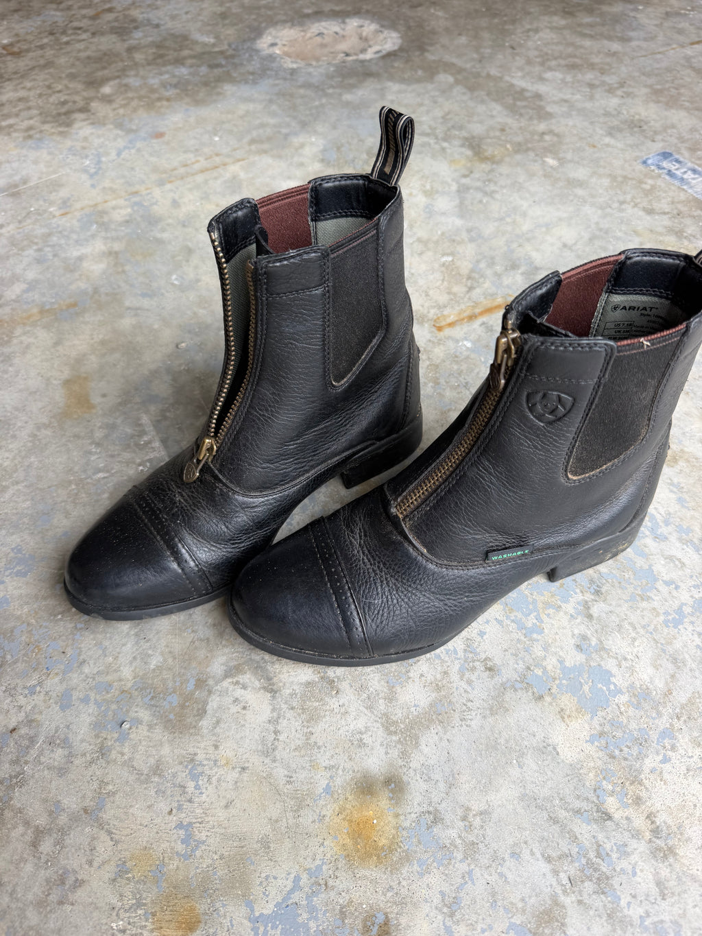 Ariat 7.5 paddock boots
