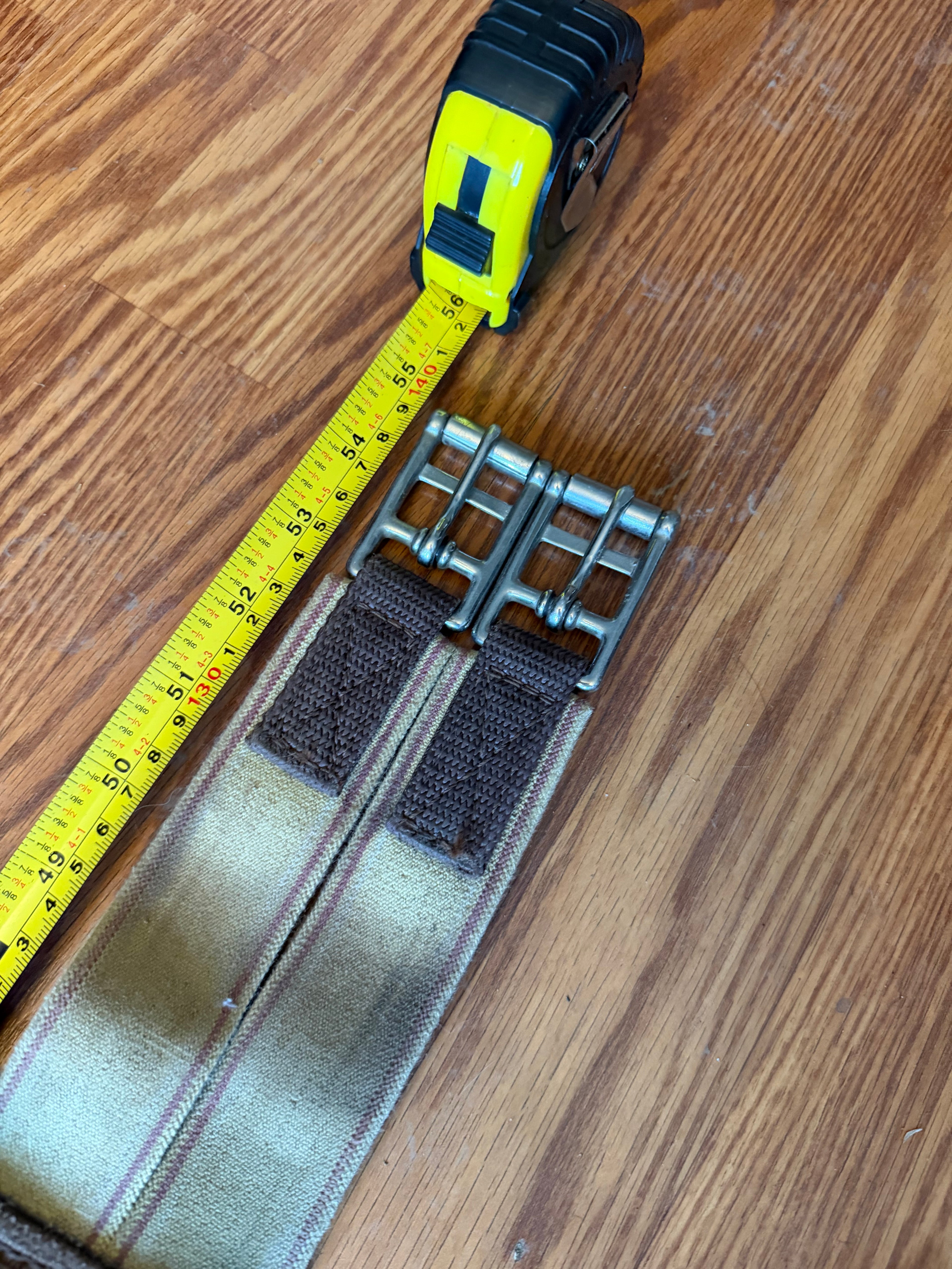 55" Professional Choice neoprene girth