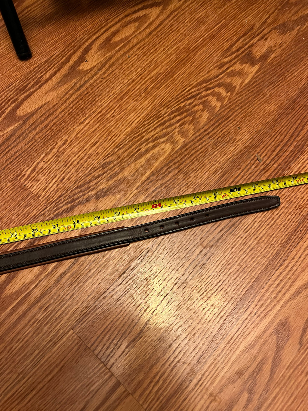 Tory leather show belt