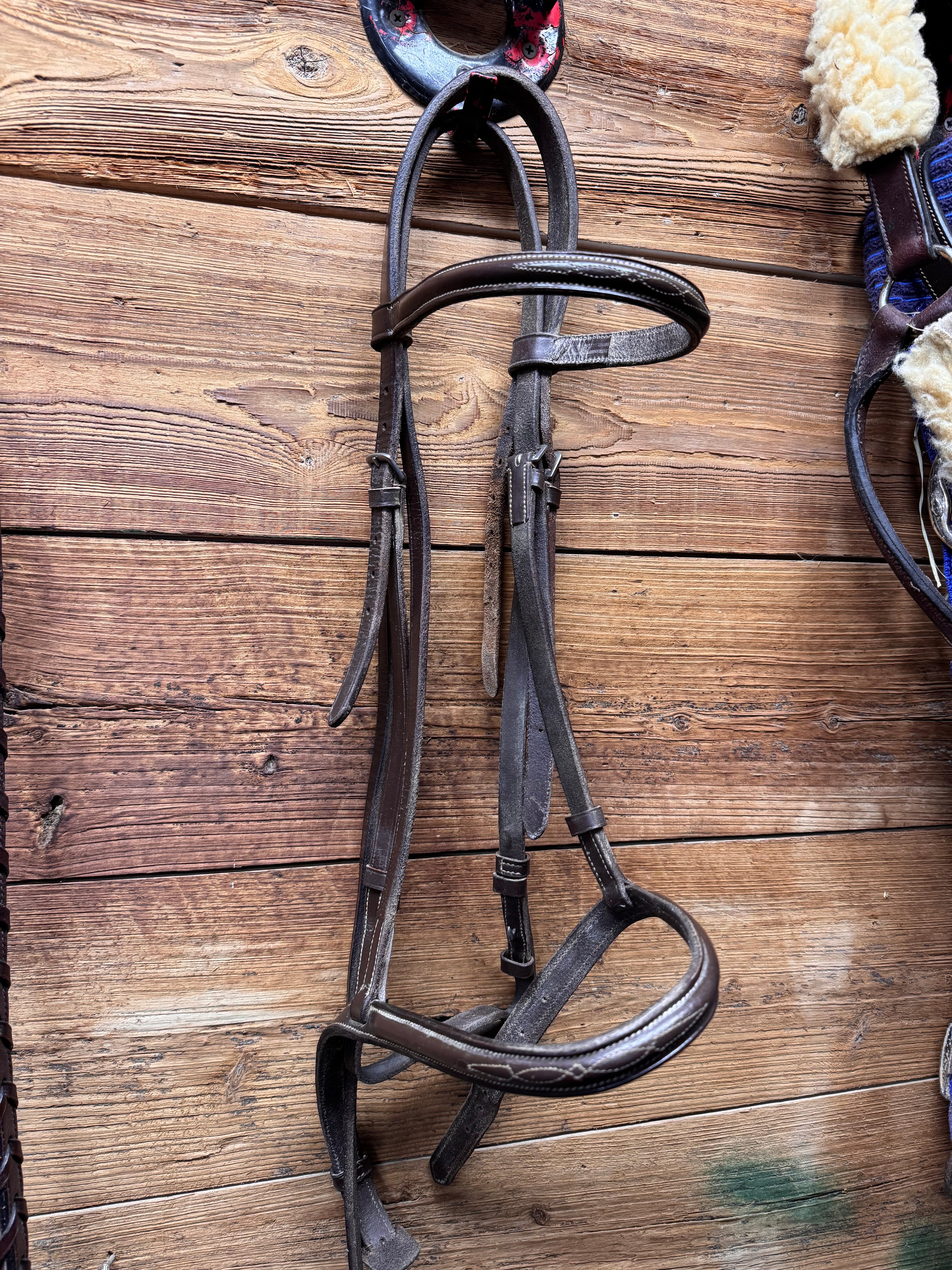 Brown leather schooling bridle