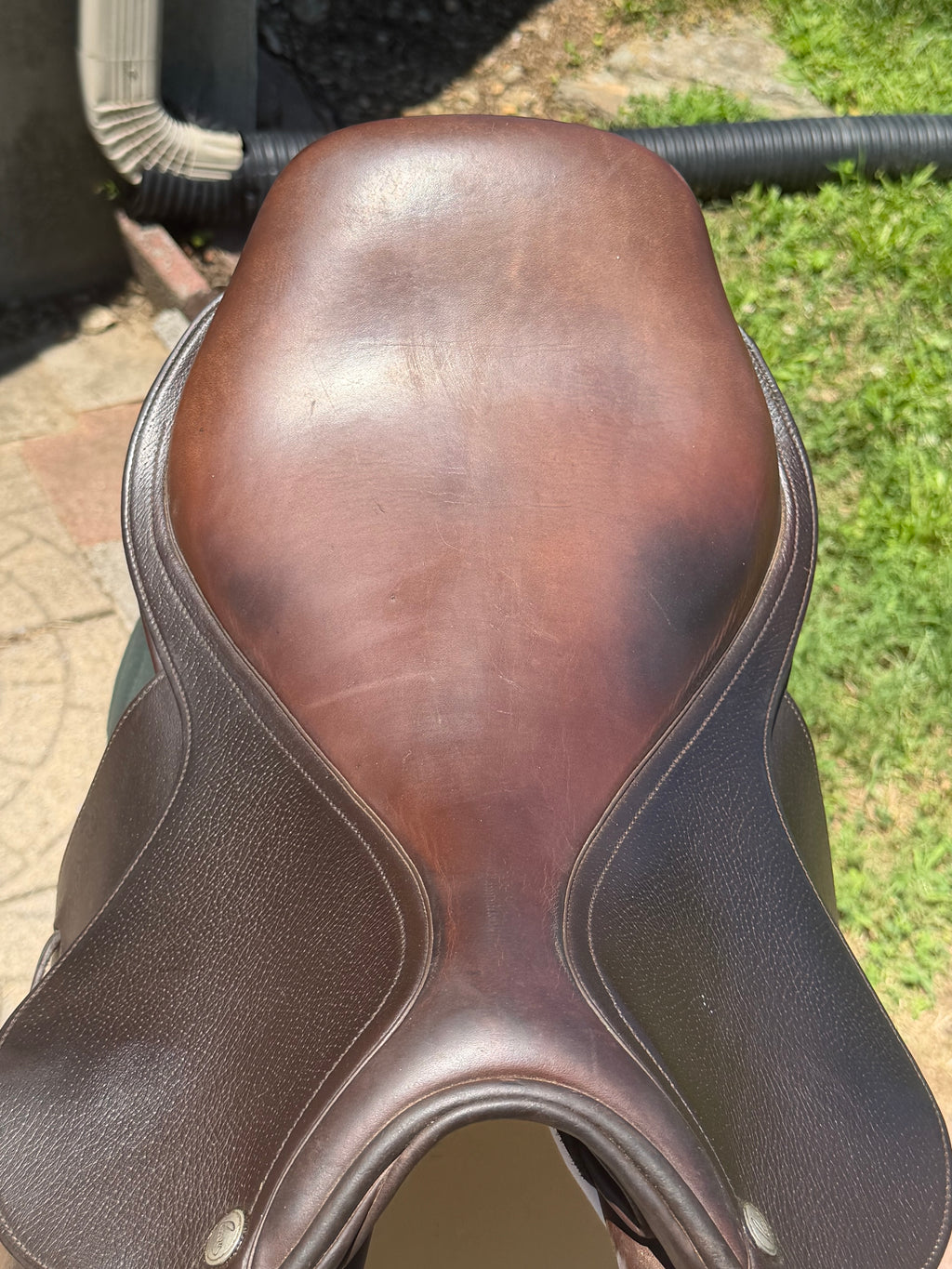 17” Pessoa close contact XCH tree