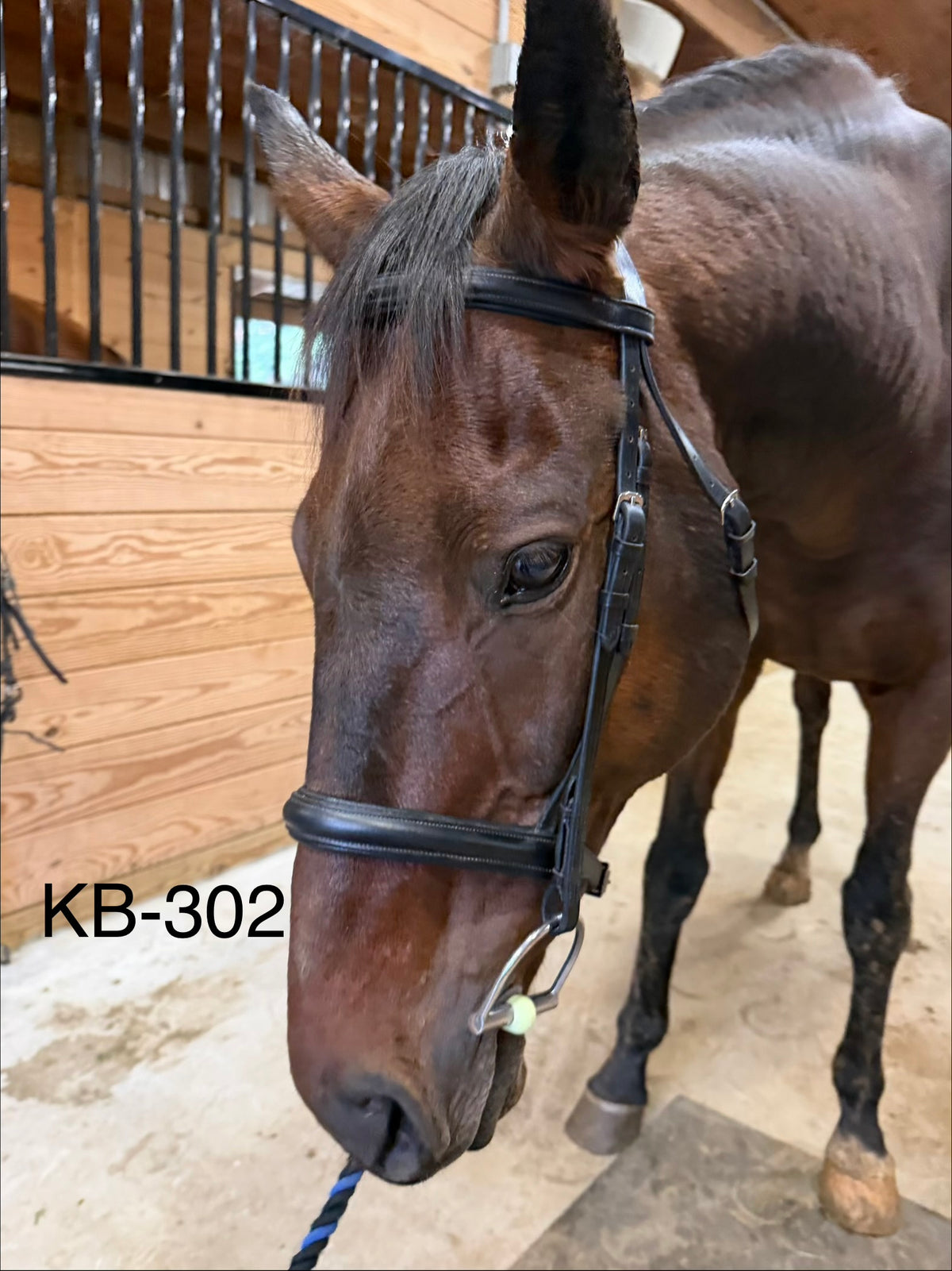 Black Monocrown padded snaffle bridle - Full