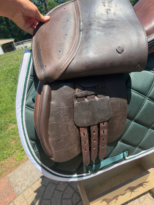 17” Pessoa close contact XCH tree