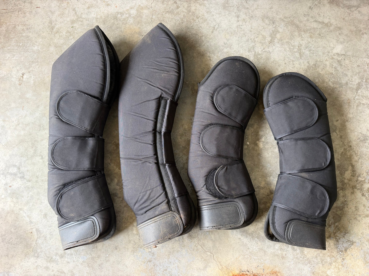 Dover horse shipping boot set