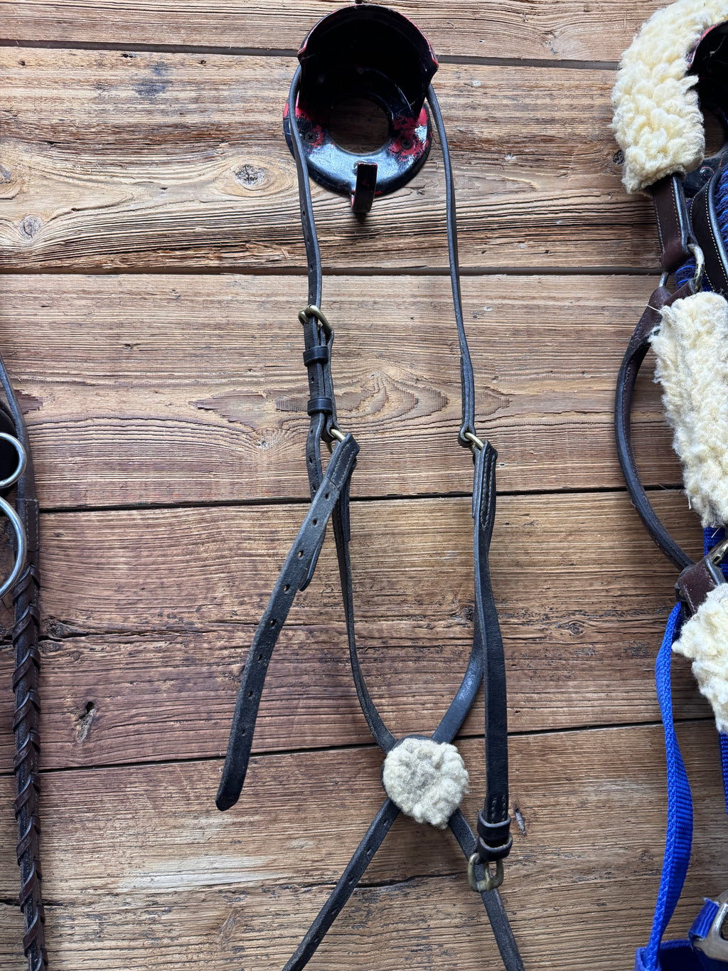 Black horse figure 8 noseband
