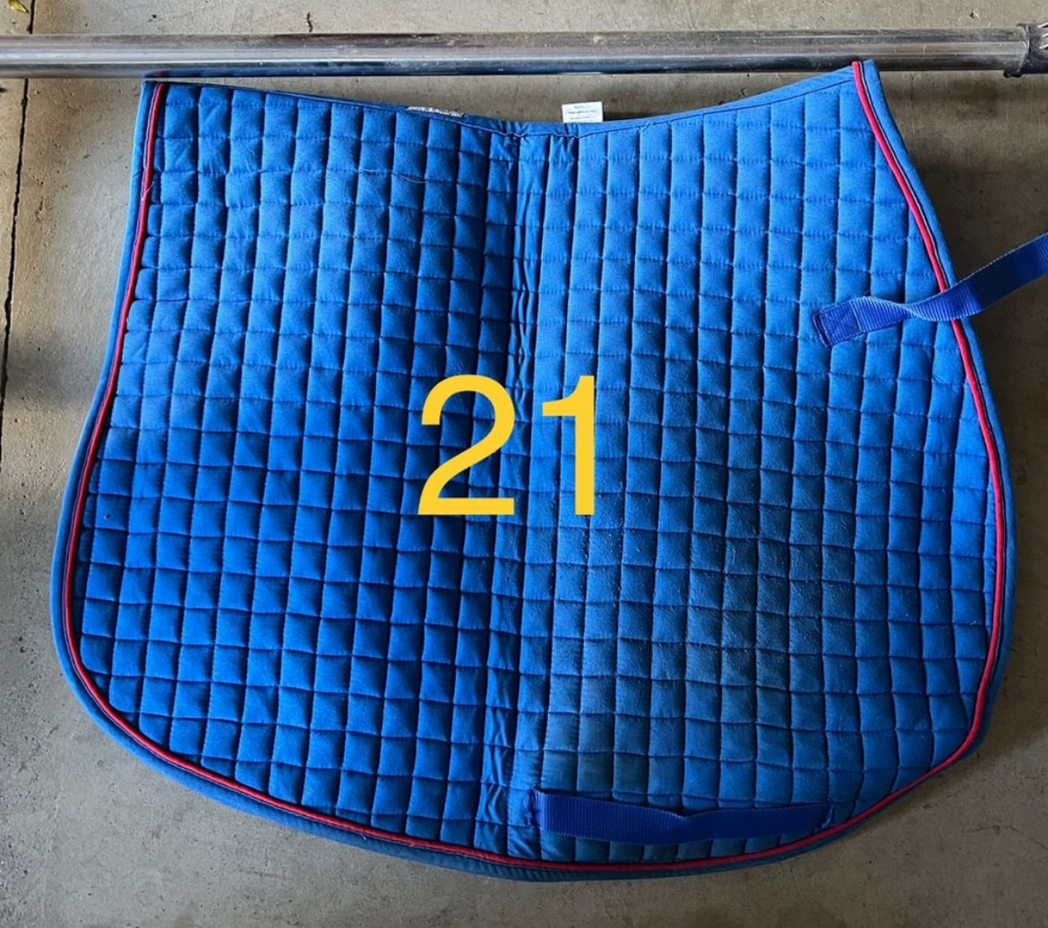 PRI royal blue AP Pad