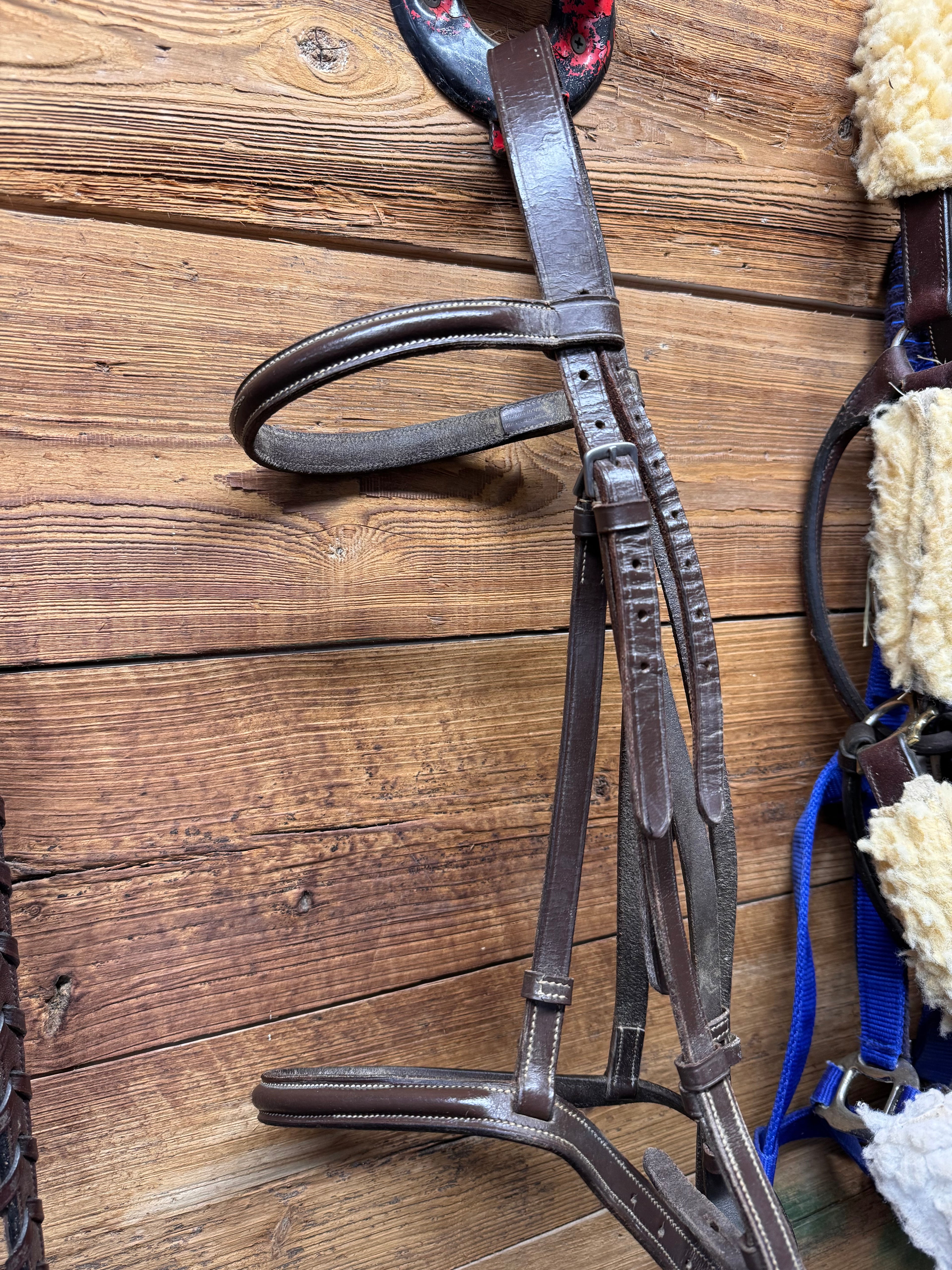 Brown leather schooling bridle