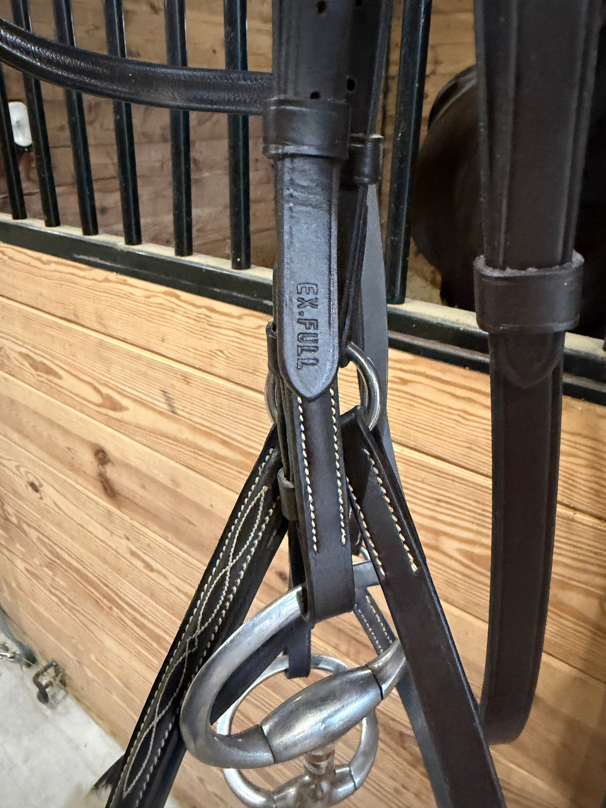 Collegiate figure 8 bridle - XF