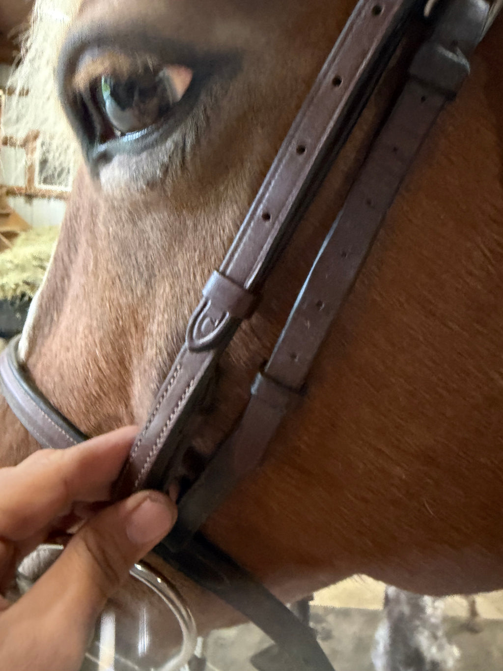Plain Brown Leather bridle - Cob