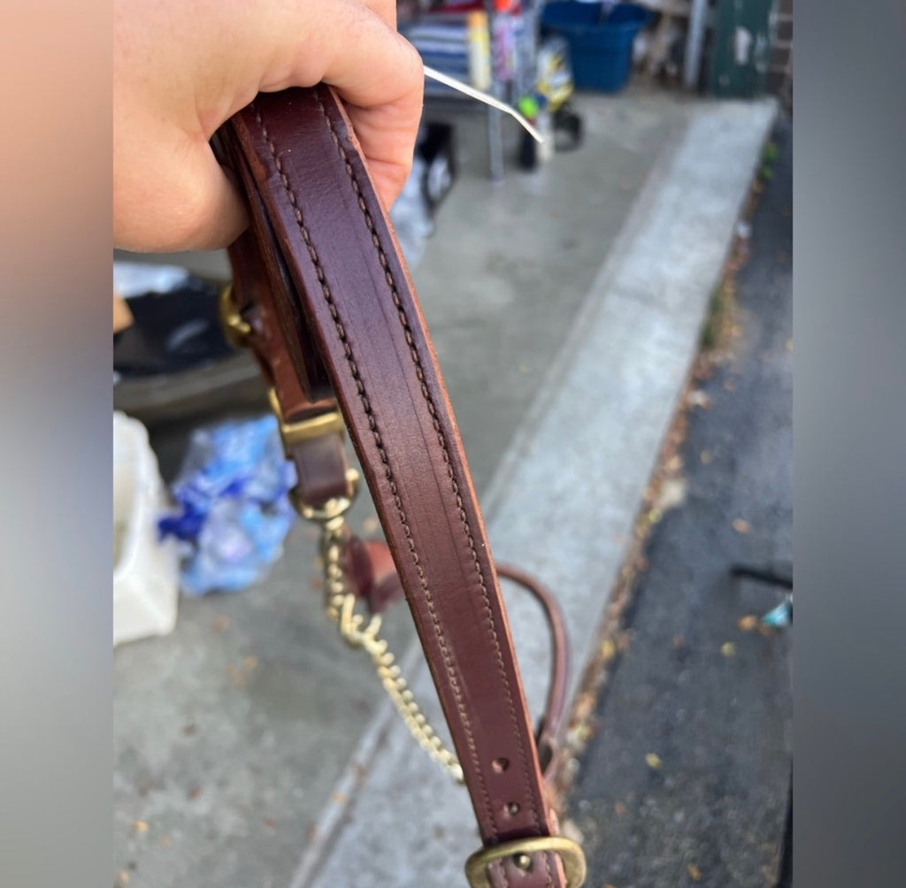 Brown leather steer show halter