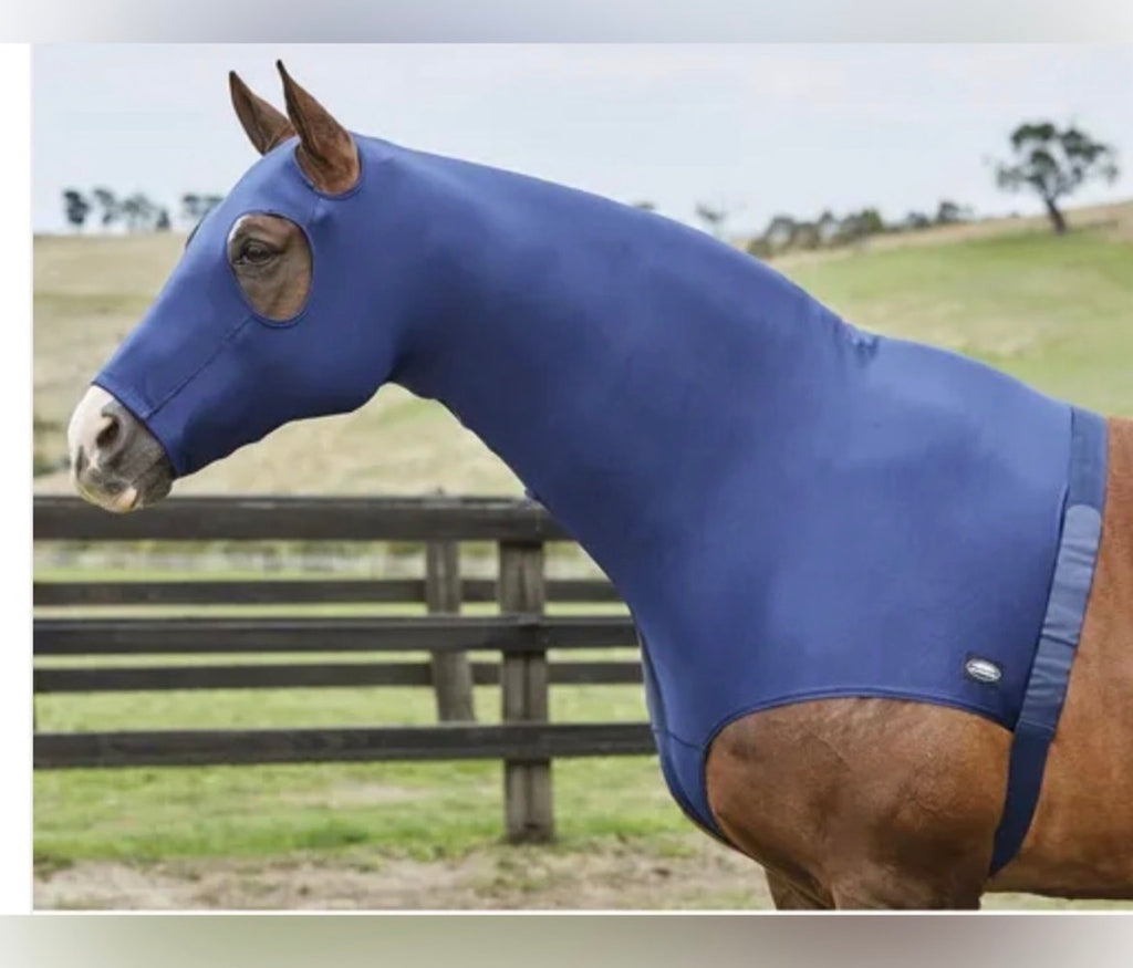 Used Weatherbeeta Lycra hood COB blue