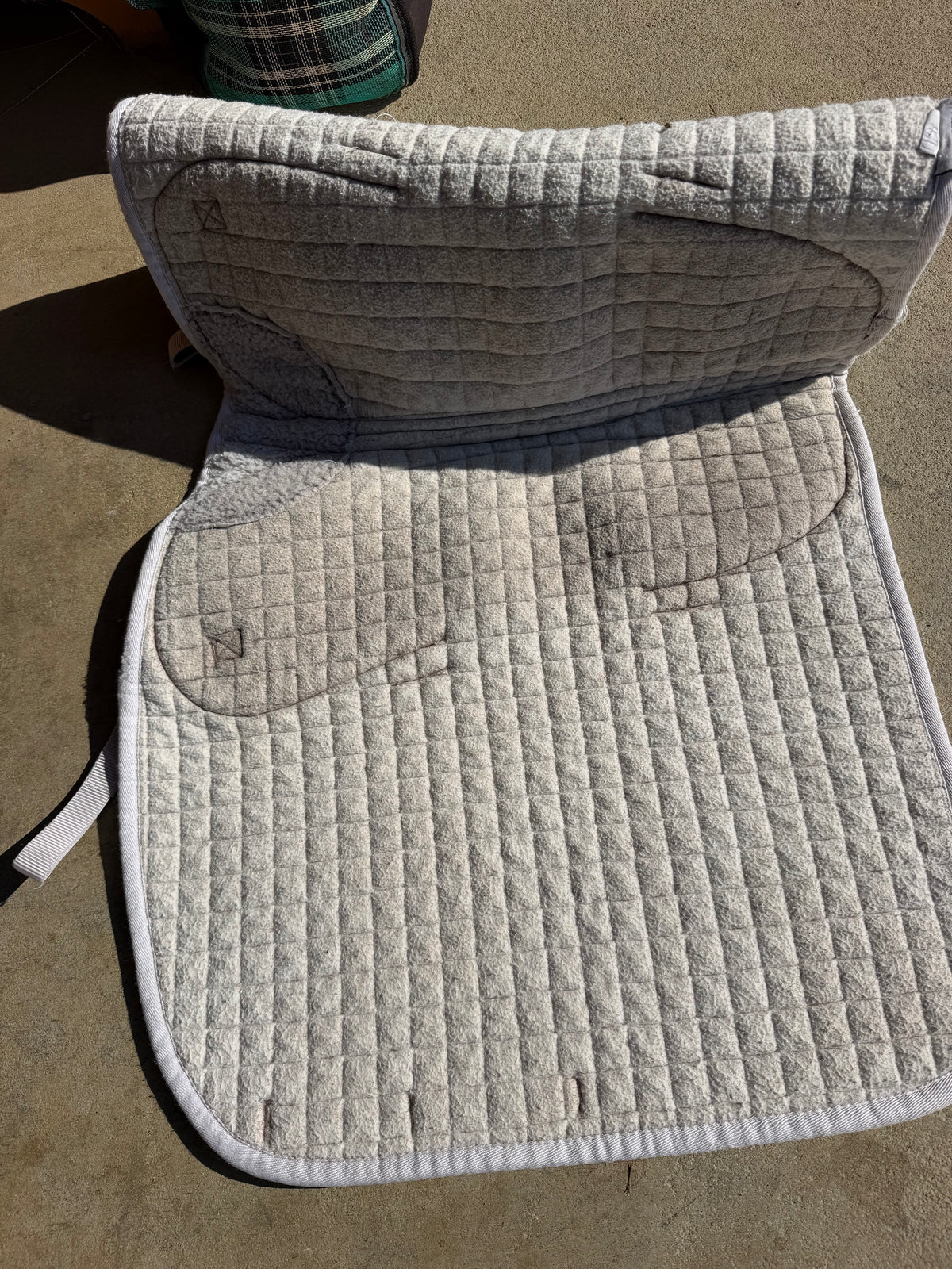 Back on Track with ThinLine Dressage white pad