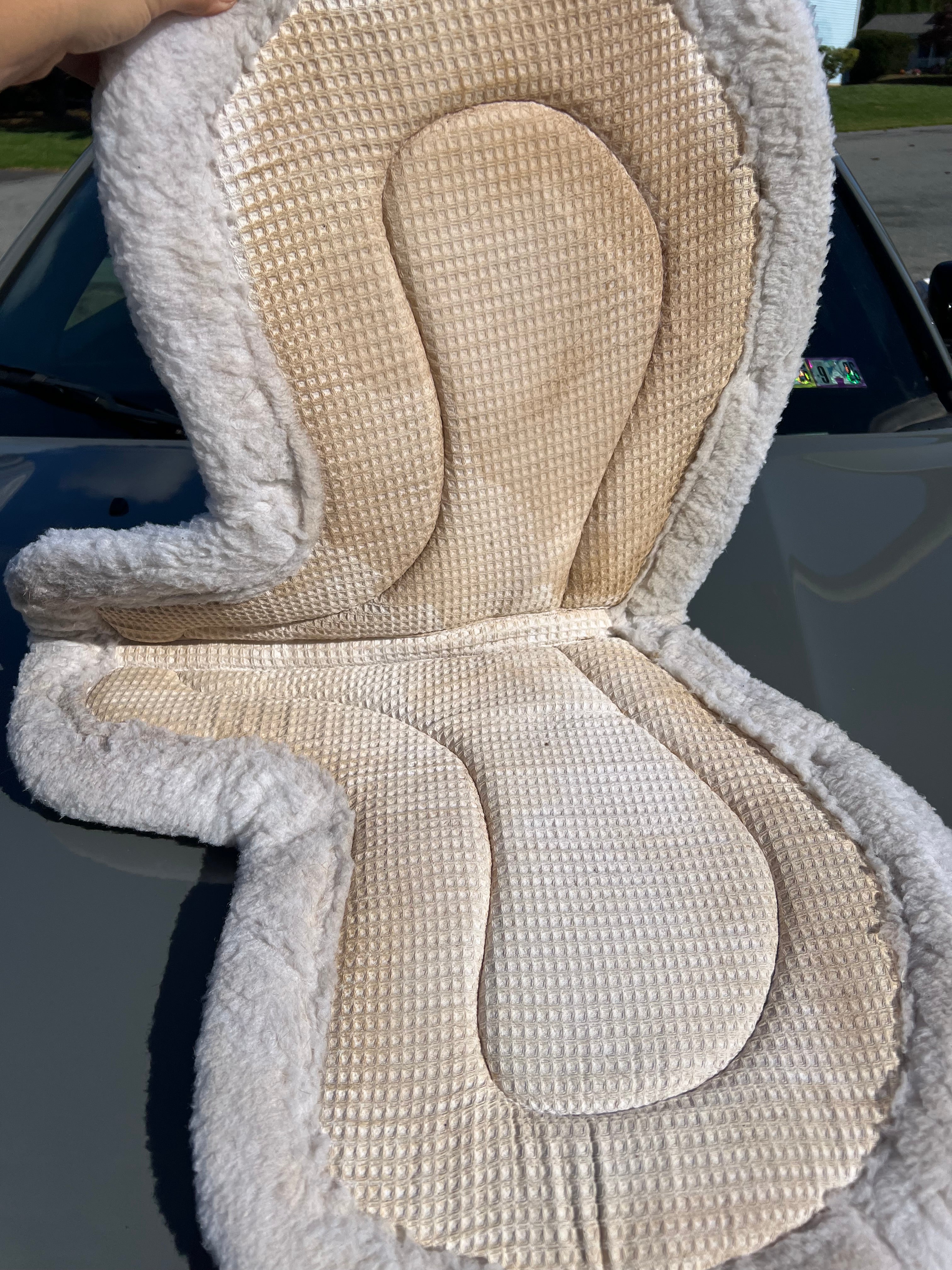 PRI Fitted saddle pad