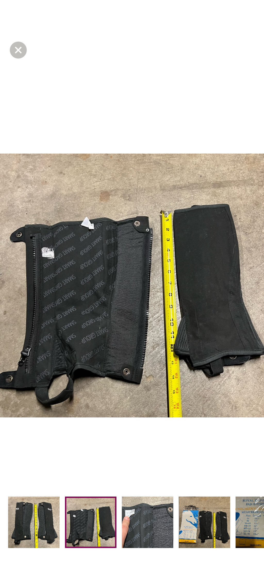 Royal Highness Equestrian Youth Large half chaps