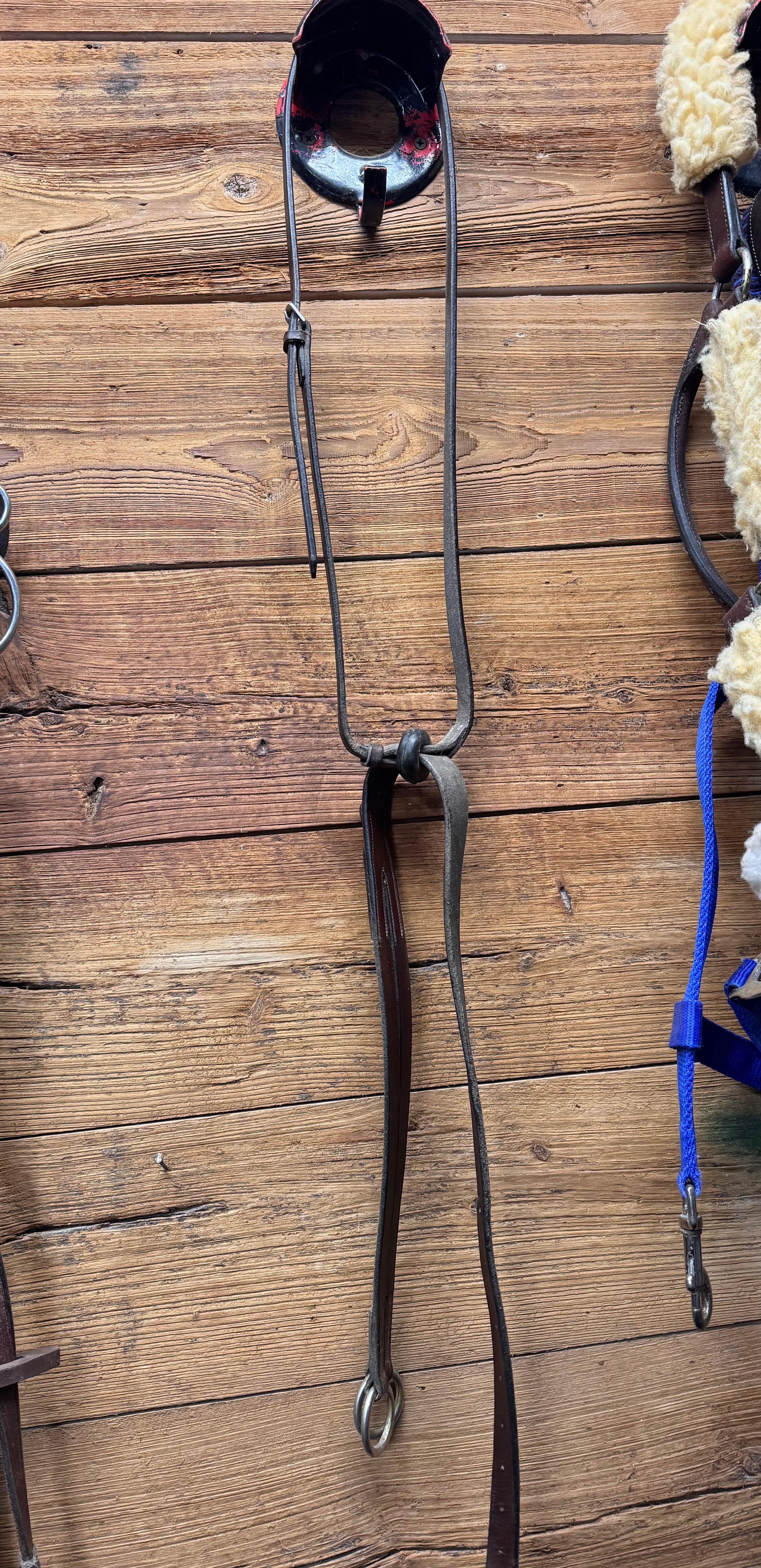 Pony Running Martingale