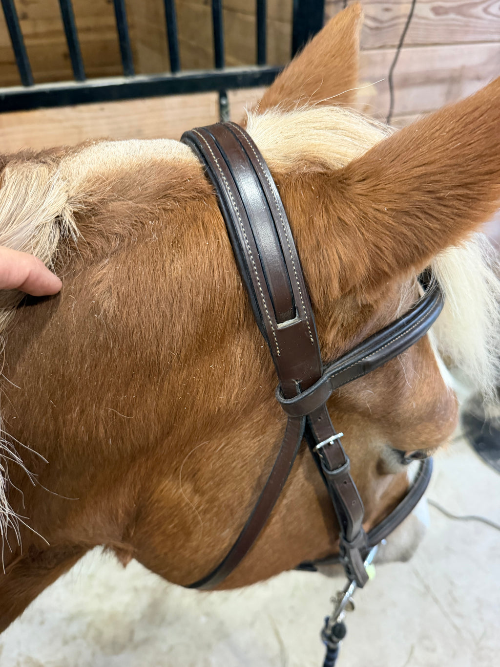 Monocrown brown Leather bridle - Cob
