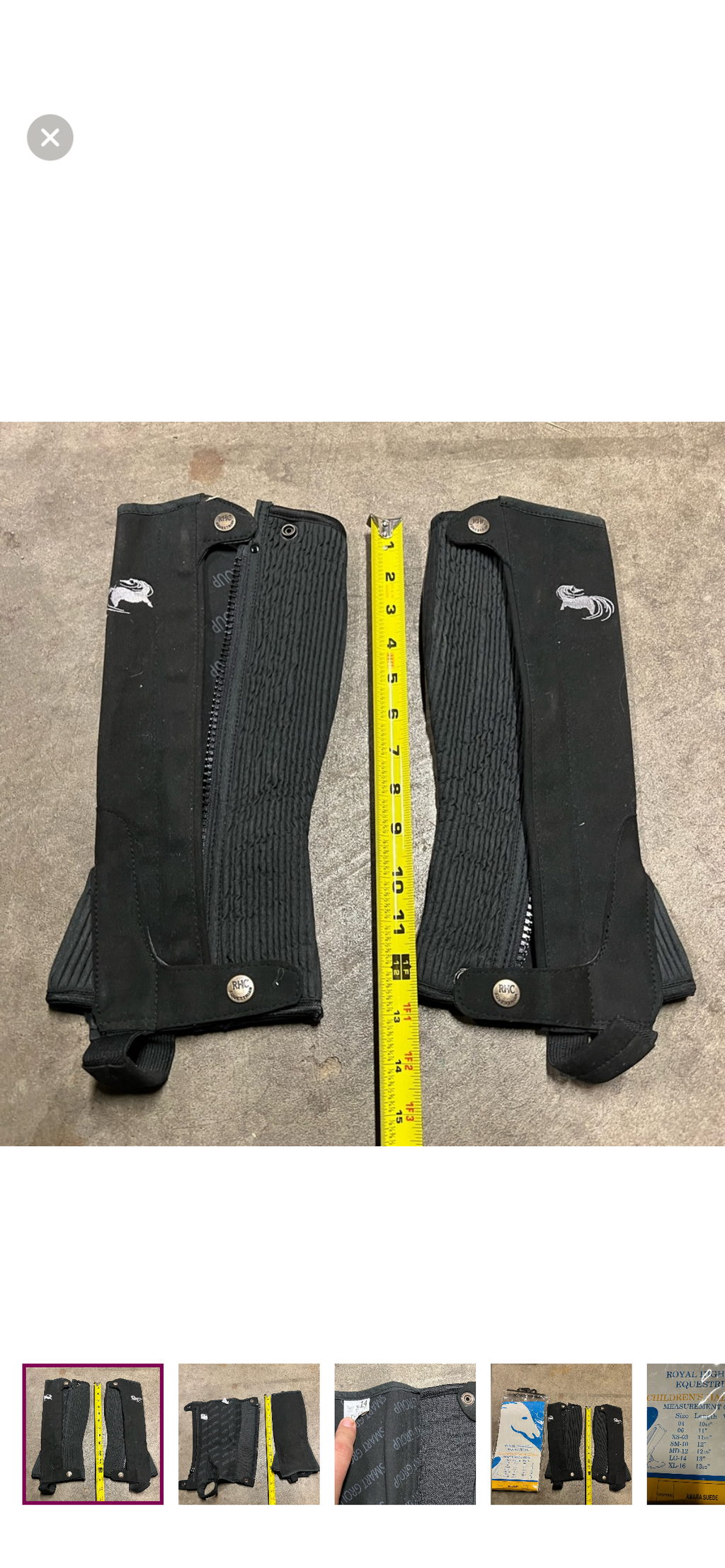 Royal Highness Equestrian Youth Large half chaps