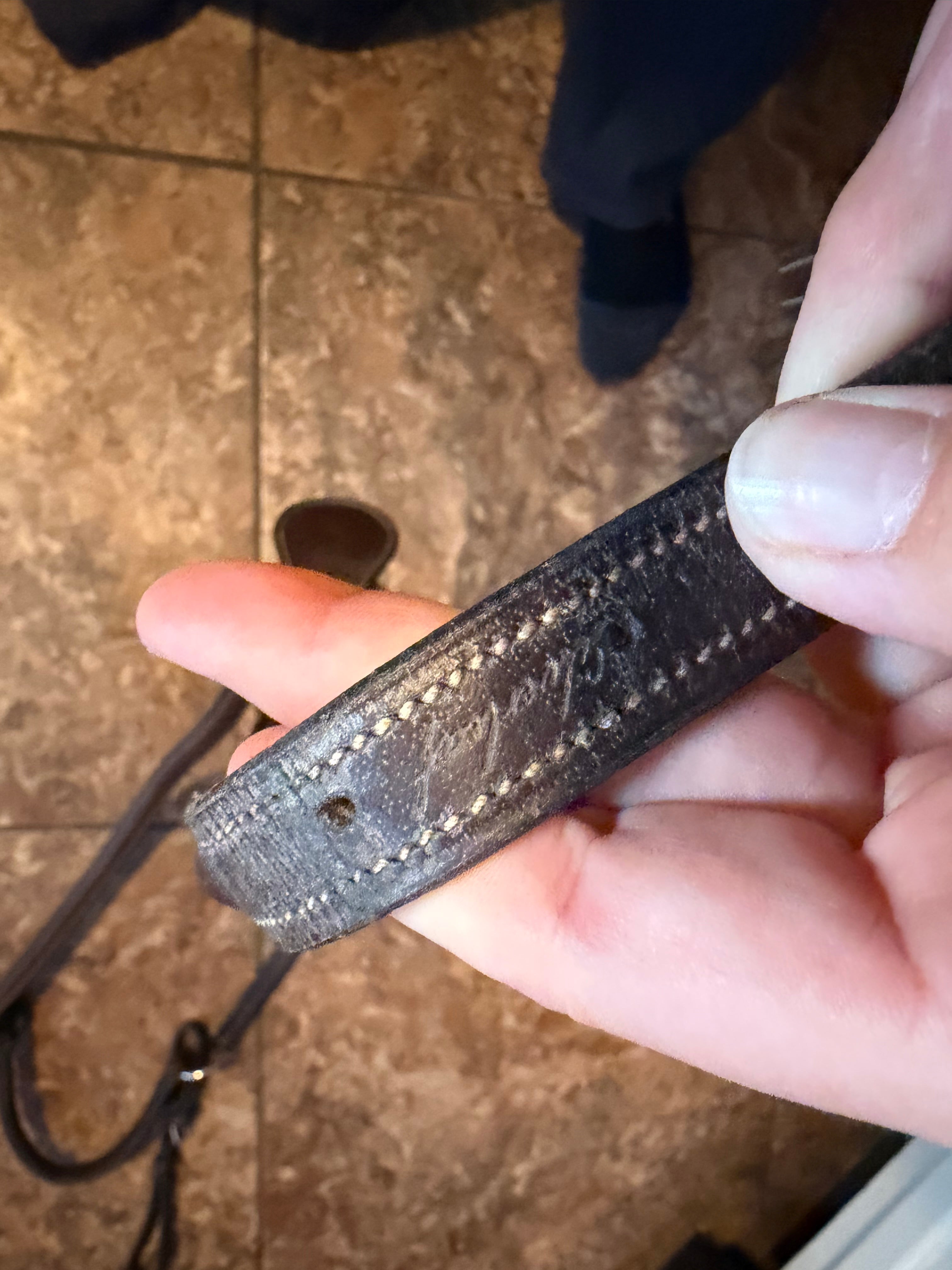 Silverleaf breastplate cob