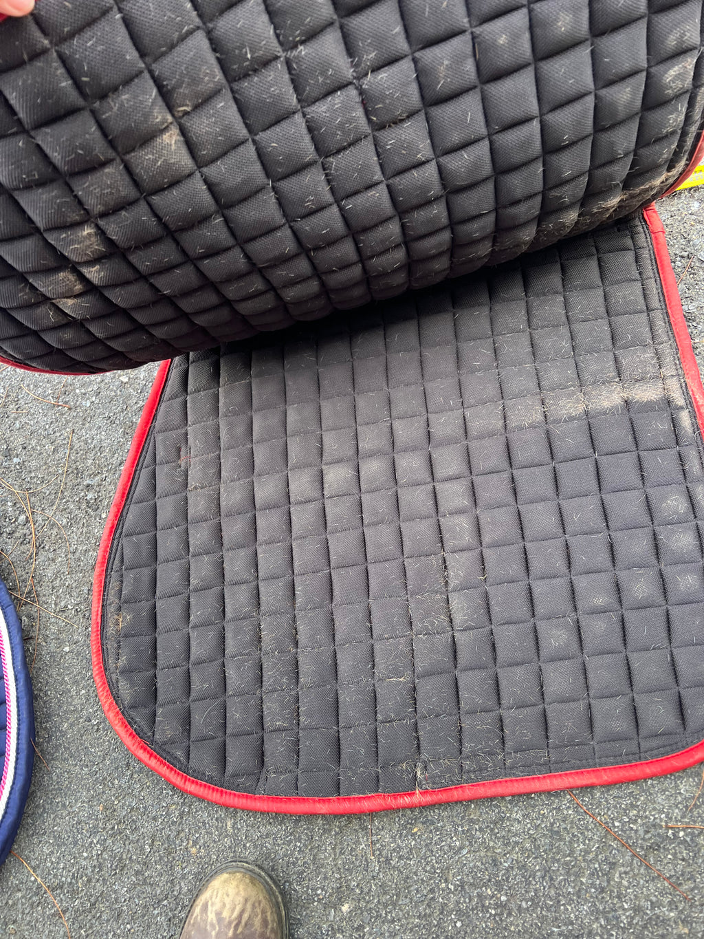 Red AP pad – KB Tack Sales & Consignment LLC