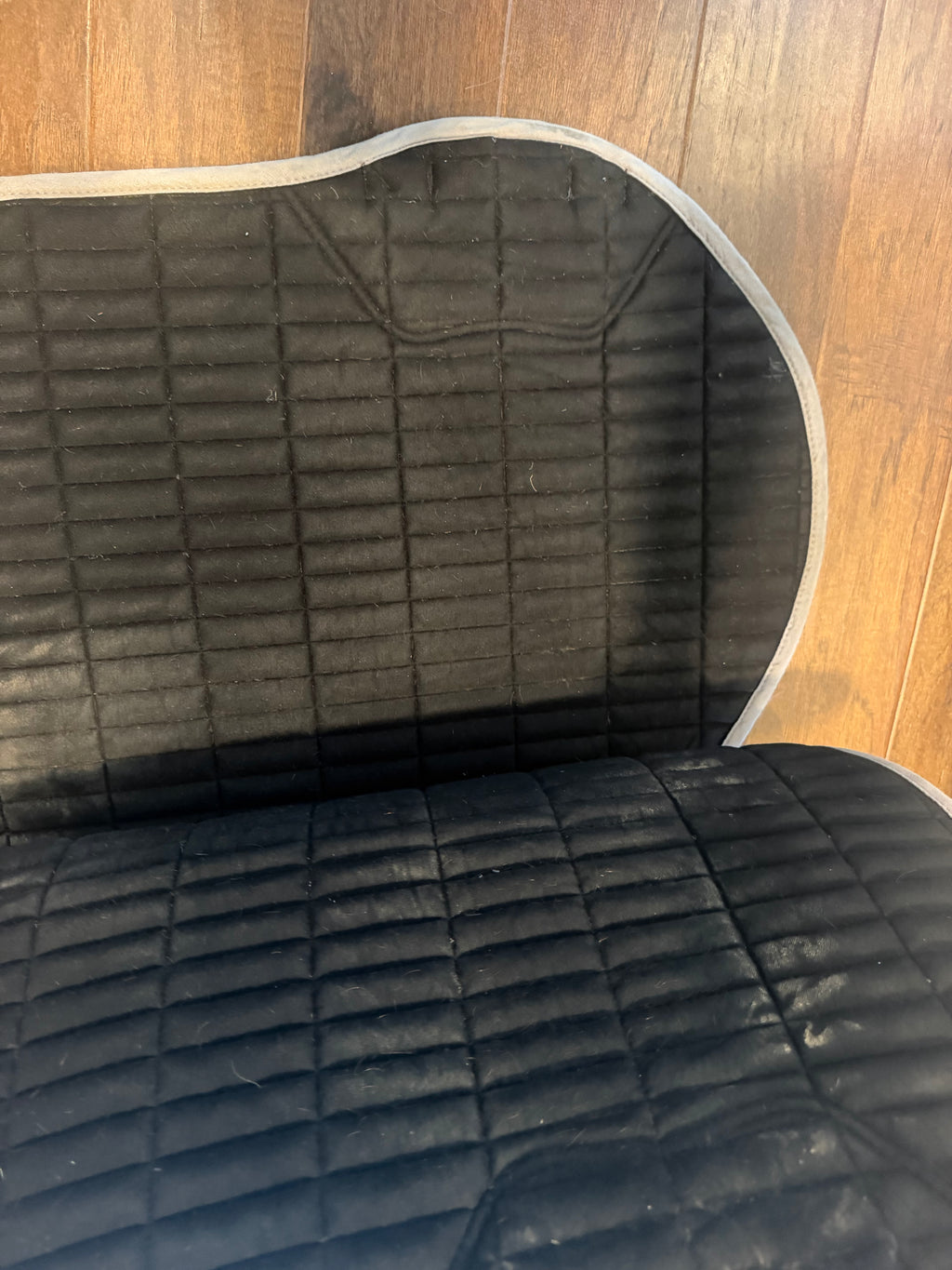 Lemieux large navy saddle pad