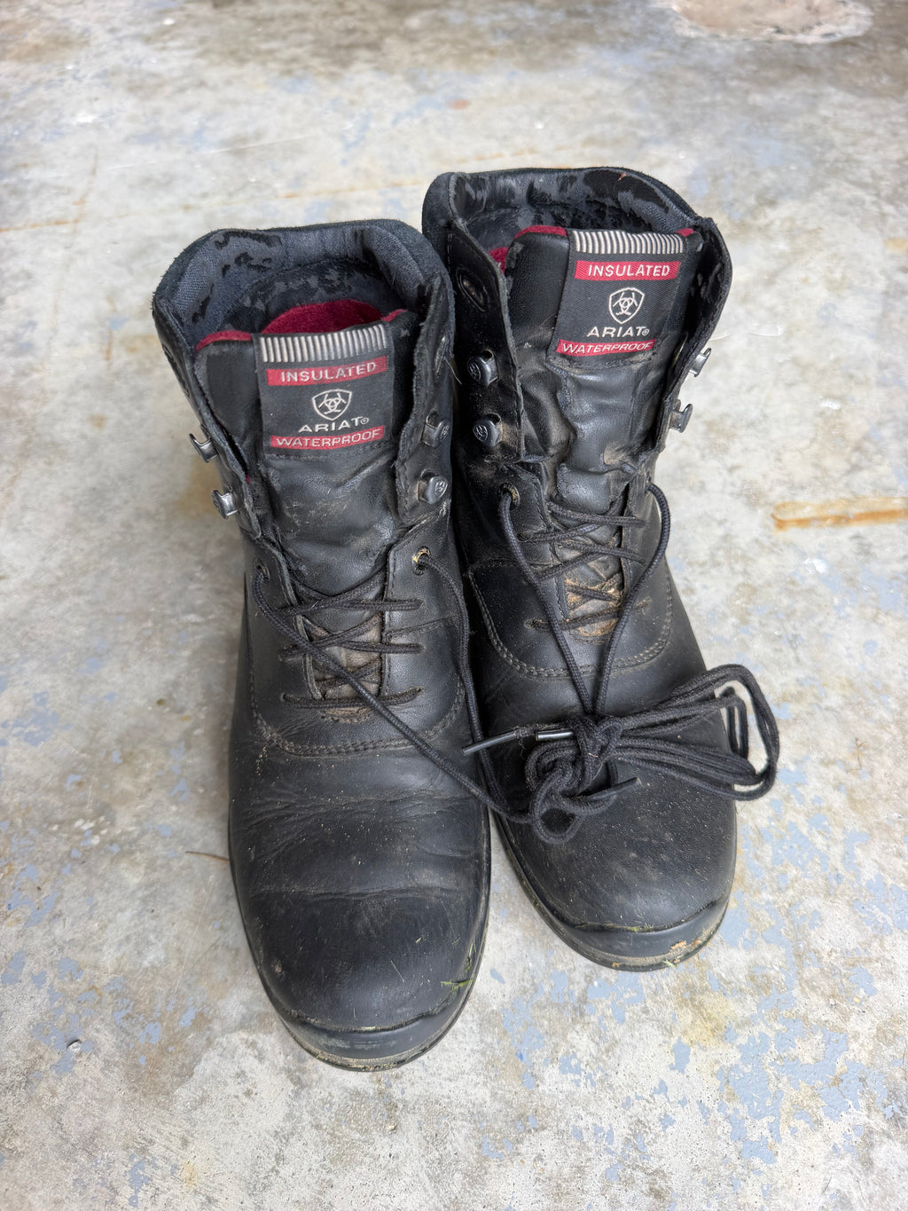 Ariat ladies 7.5 winter paddock boots