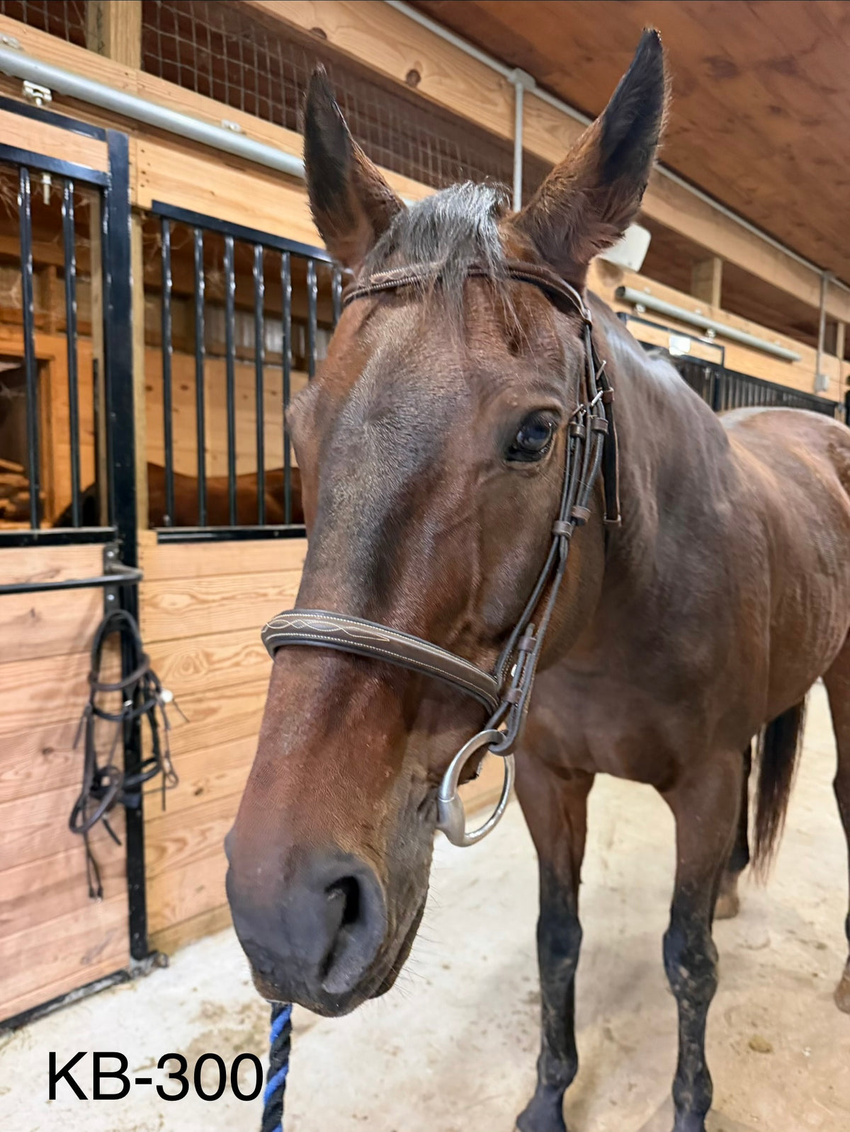 Brown Leather bridle - Full