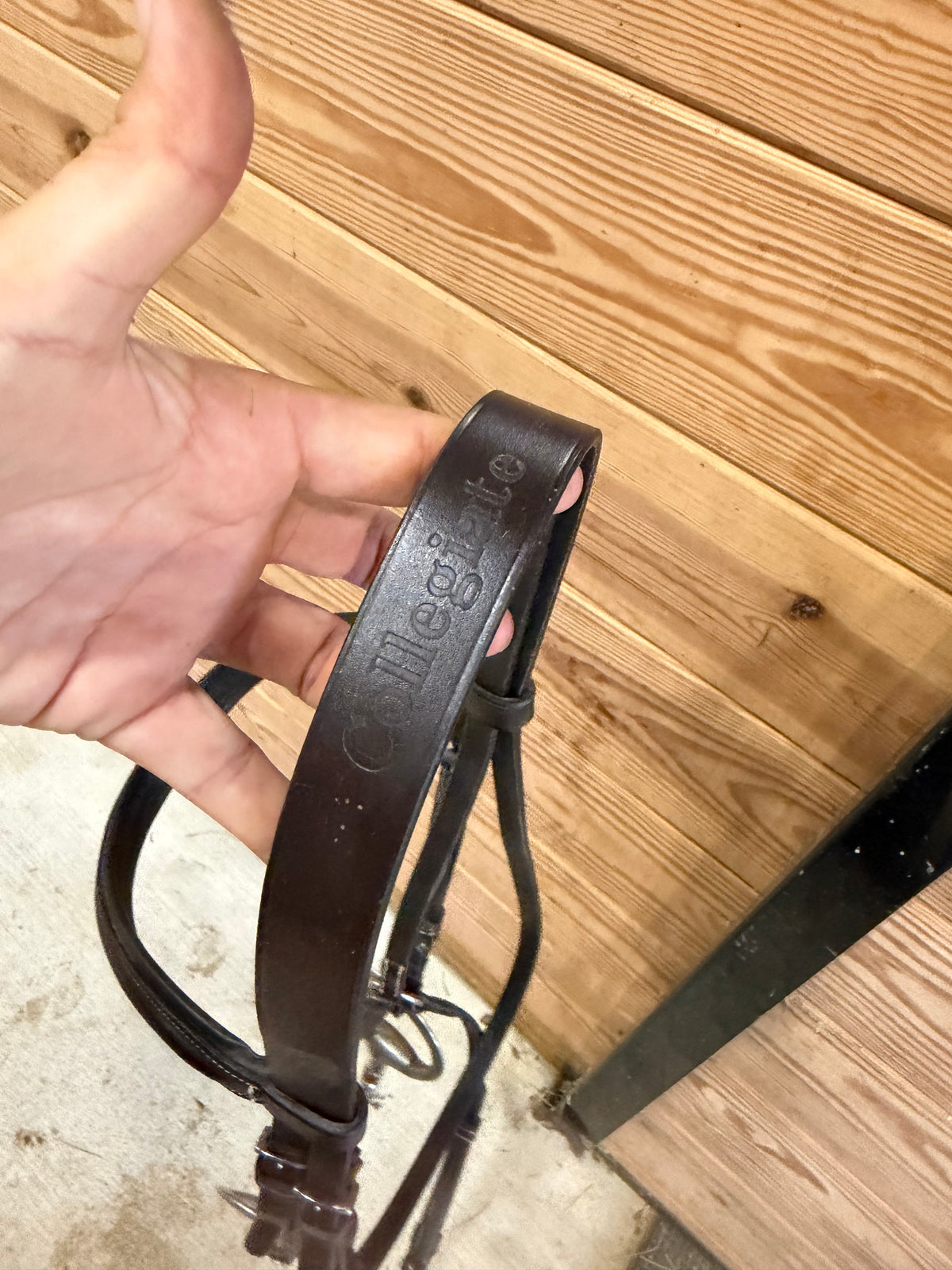 Collegiate figure 8 bridle - XF