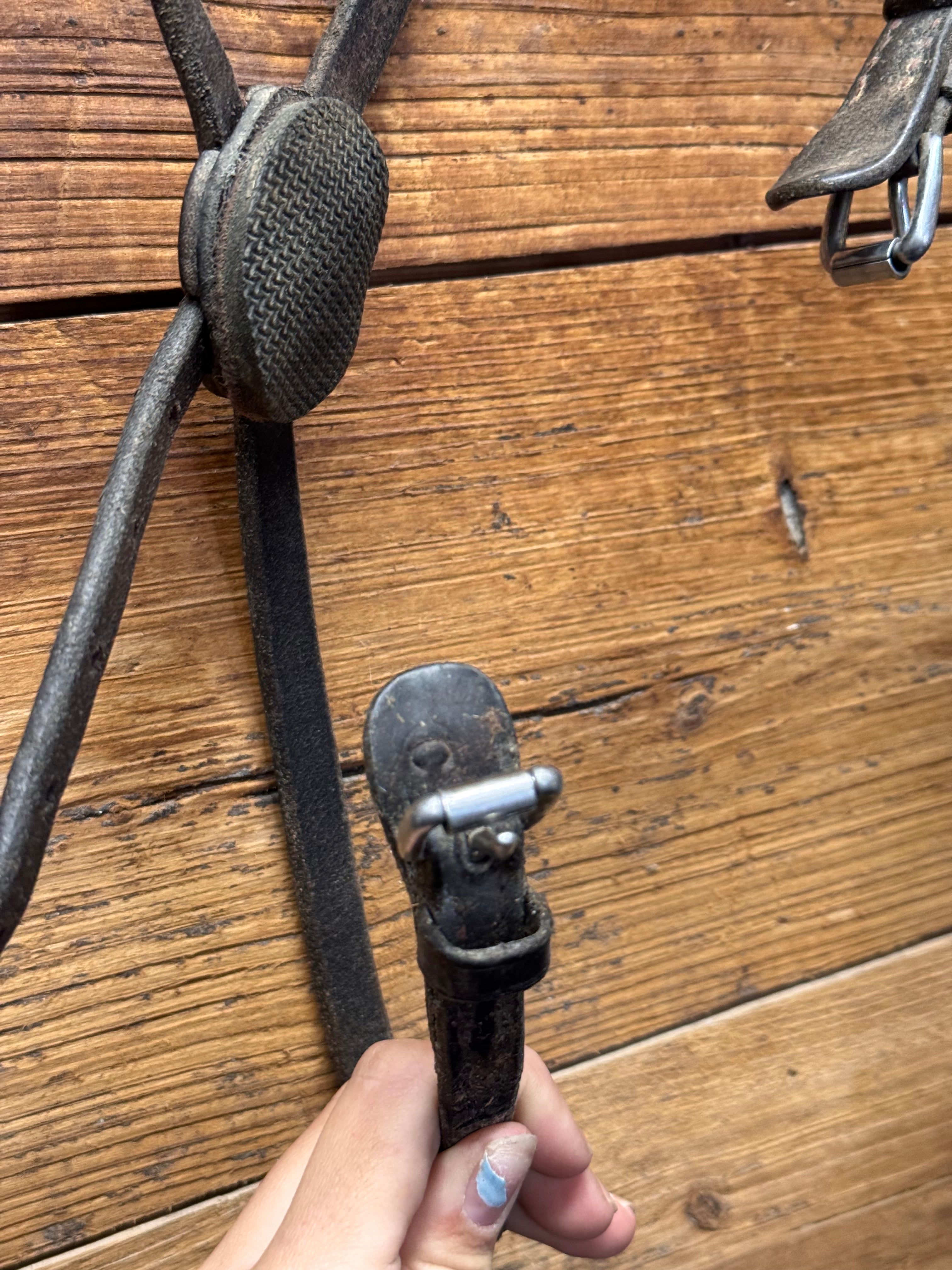 Brown Cob figure 8 noseband