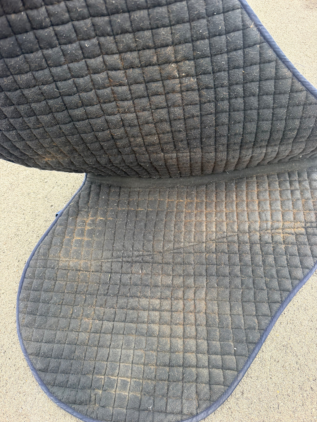 PRI English contoured saddle pad