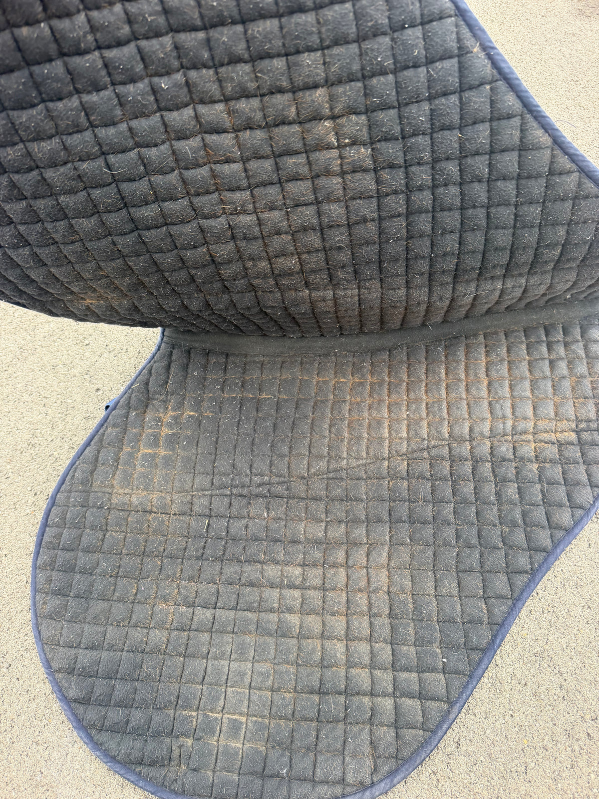 PRI English contoured saddle pad
