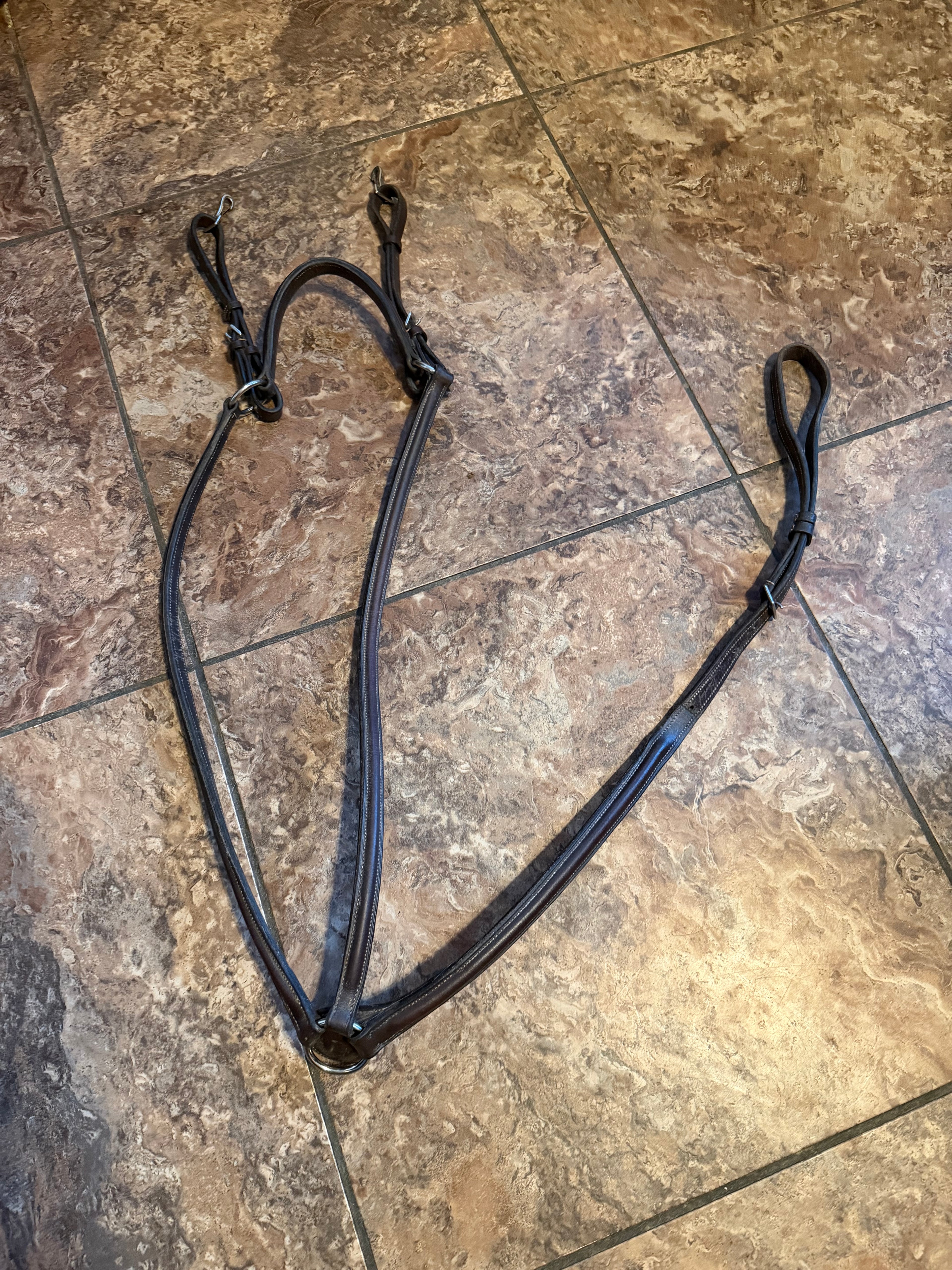 Silverleaf breastplate cob