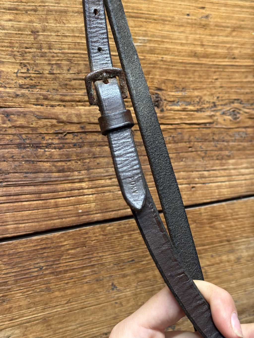 Pony standing Martingale