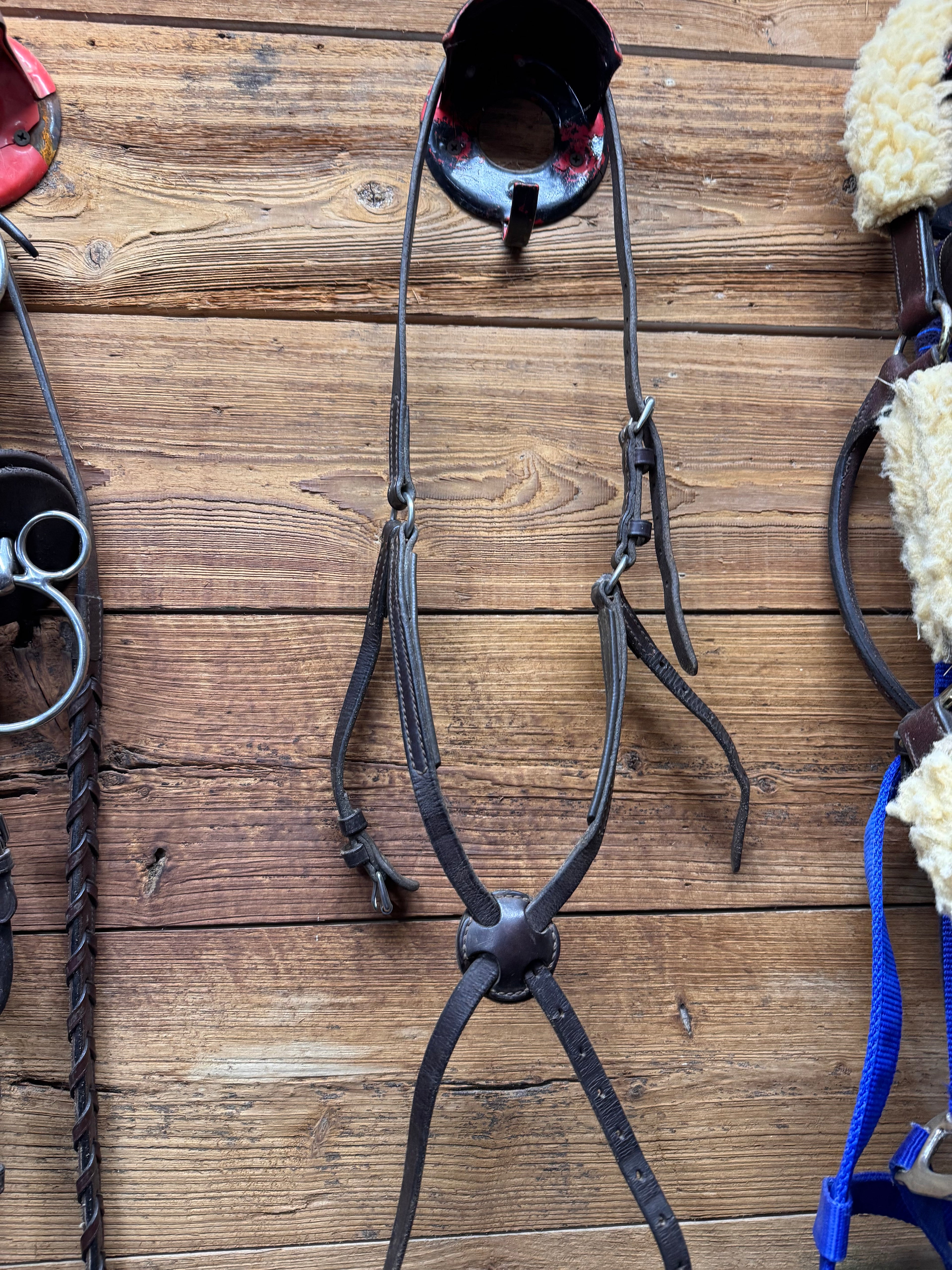 Brown Cob figure 8 noseband