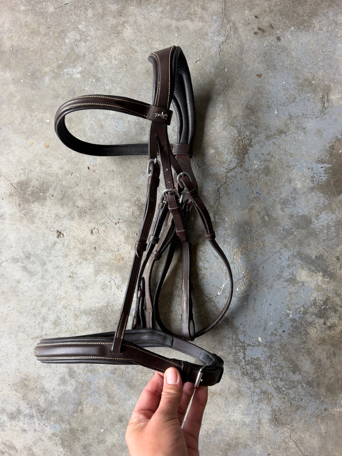 Schockemohle Montreal Select Cob brown
