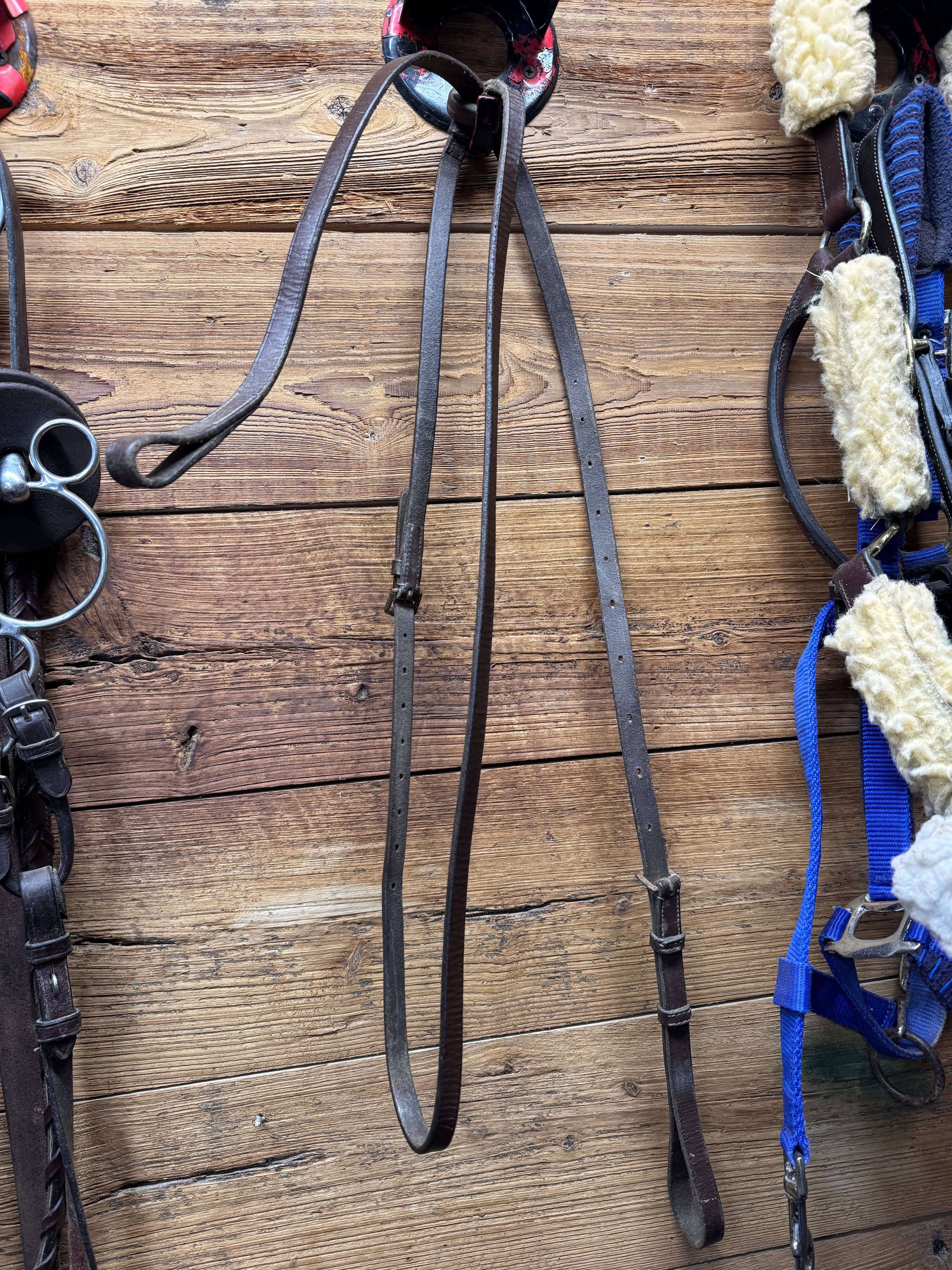 Pony standing Martingale