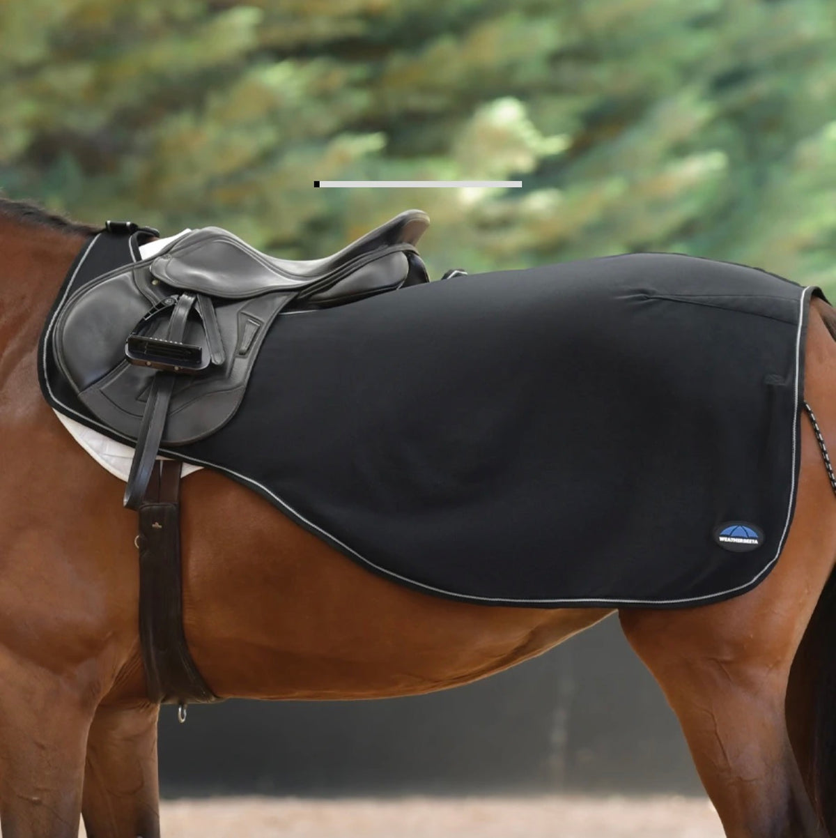 Weatherbeeta black Quarter sheet (cob)