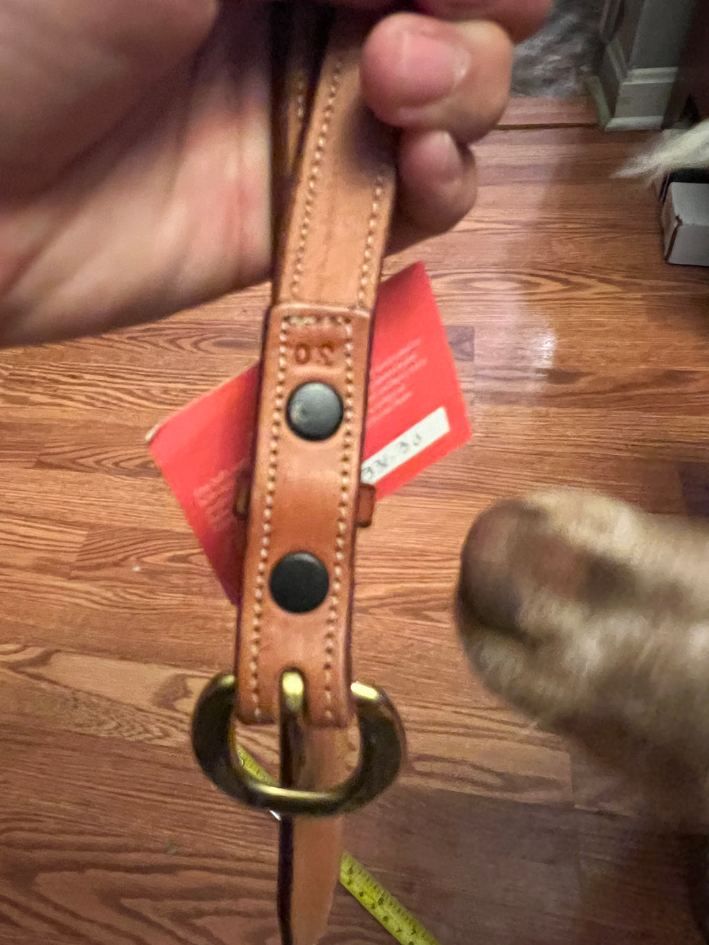Edgewood leather show belt