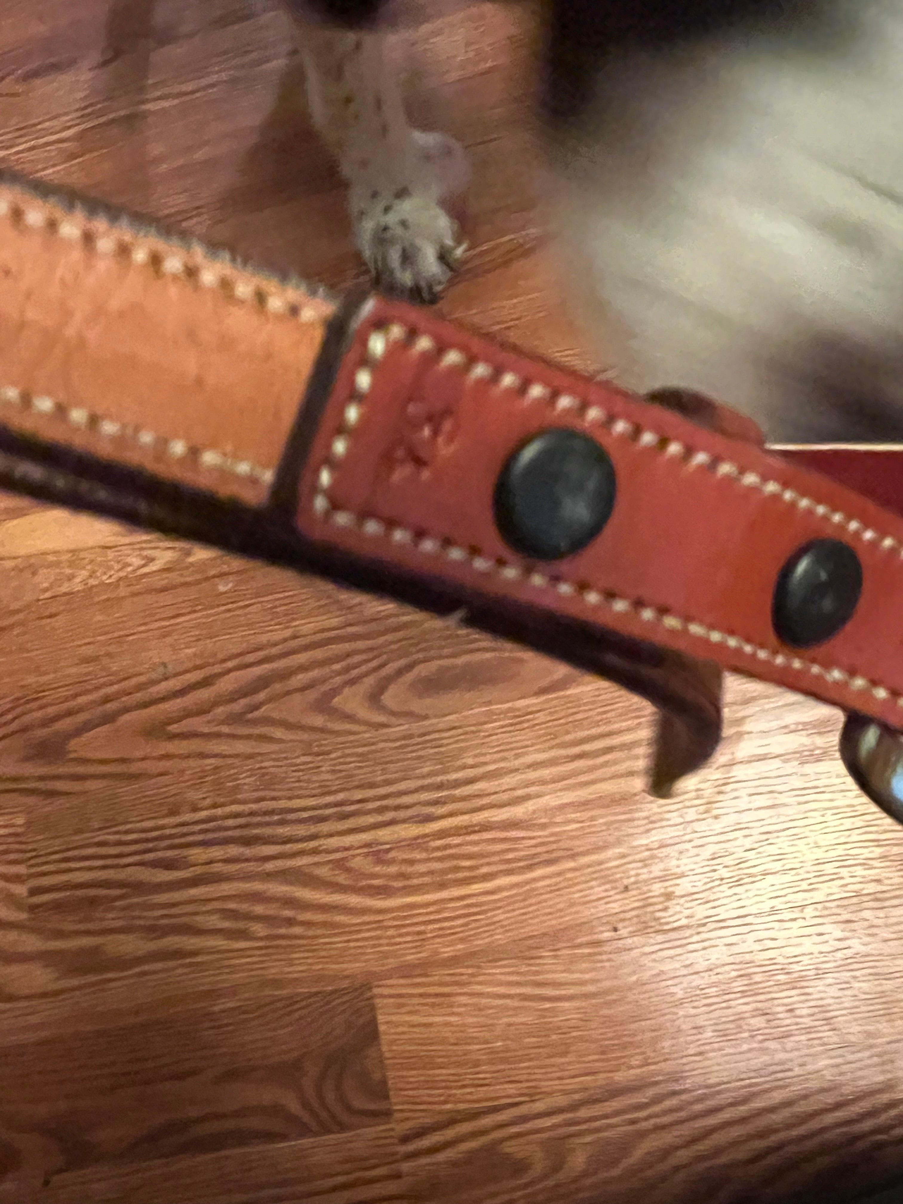 Edgewood leather show belt