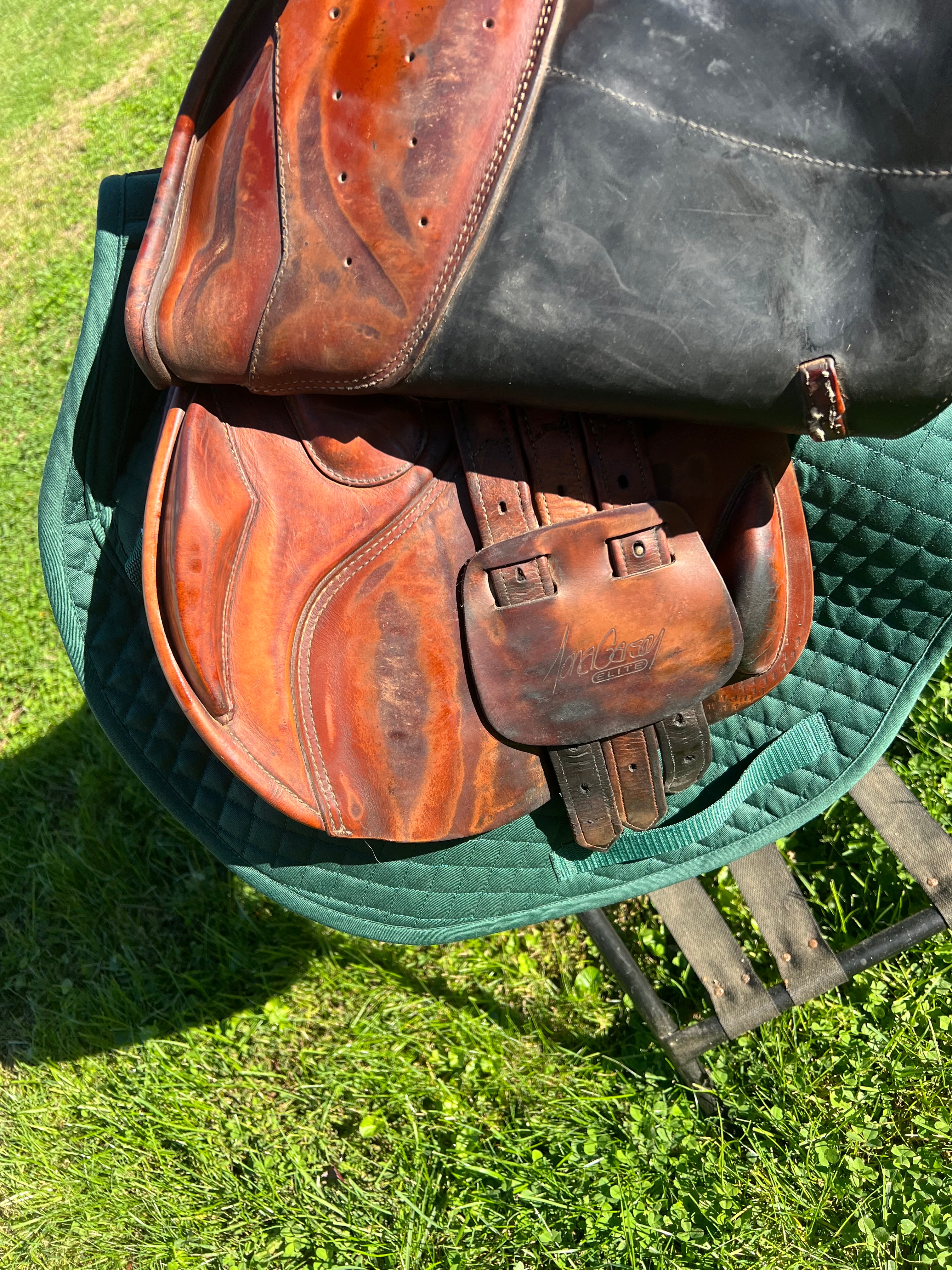 17" Prestige Nona Garson Elite