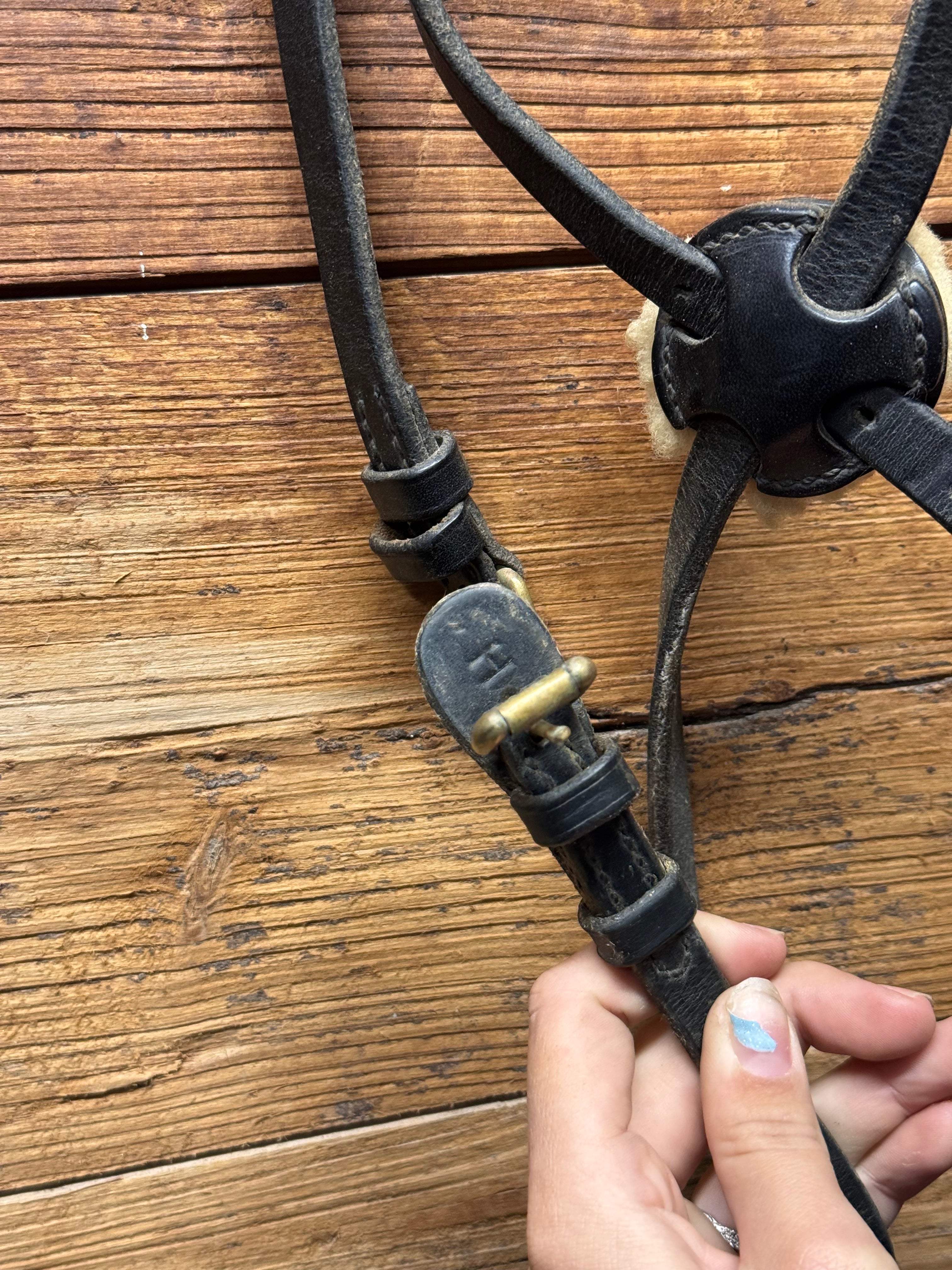 Black horse figure 8 noseband