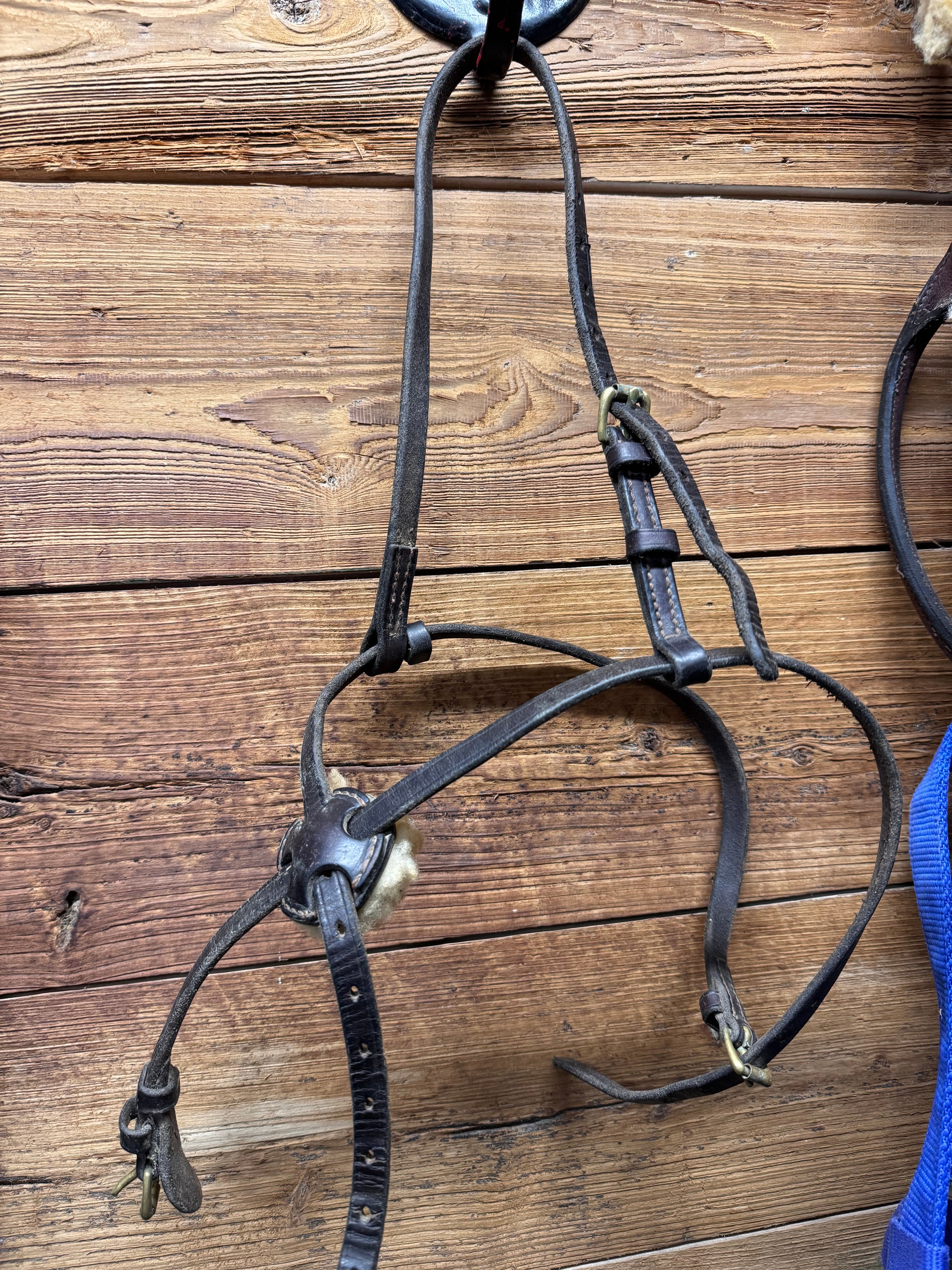 Brown  figure 8 noseband