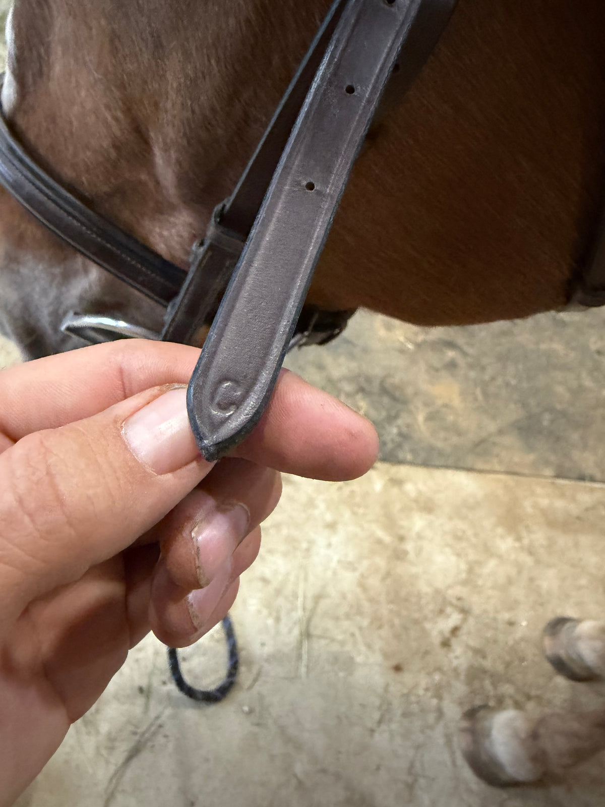 Monocrown brown Leather bridle - Cob